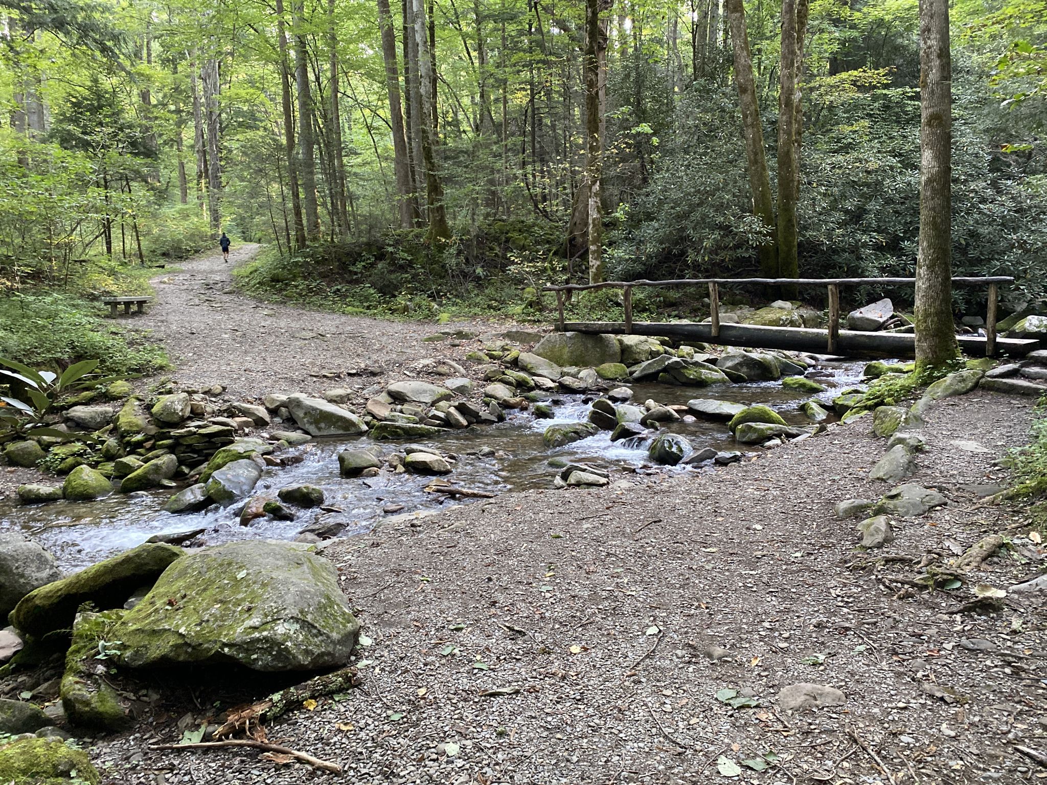 Forest path with a wooden bridge crossing a rocky stream, person in distance. - Mount Cammerer via Low Gap Trail
