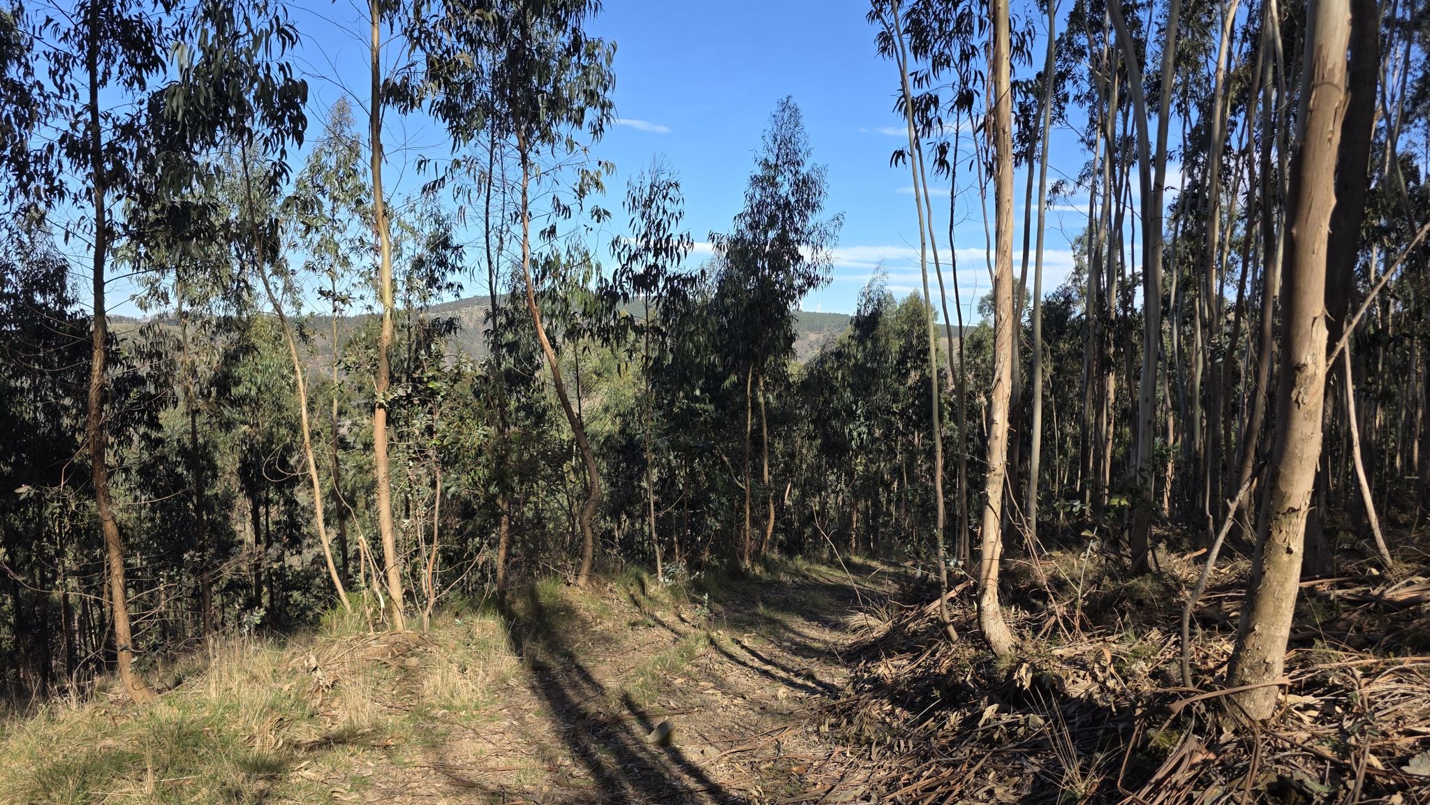 Wanderweg nach Gondramaz