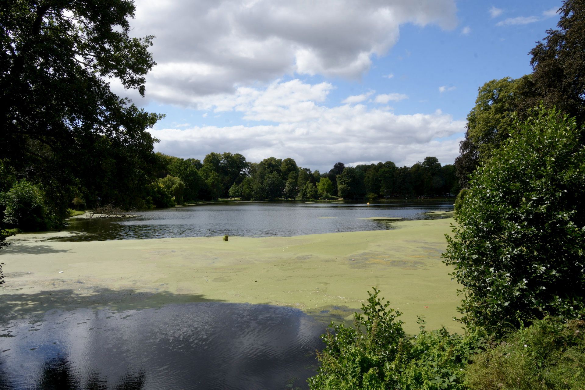 Der Mühlenteich