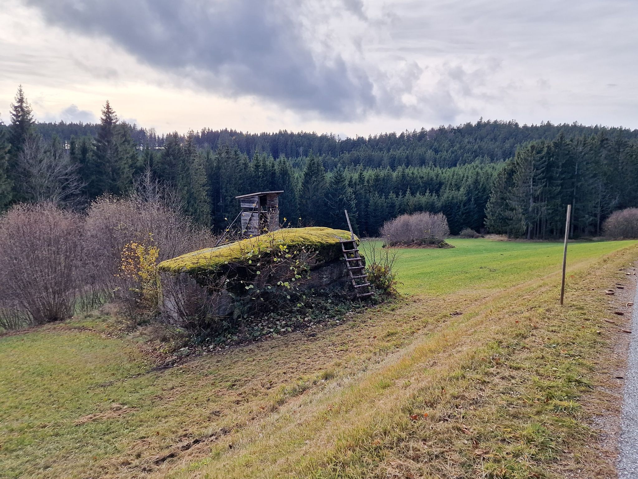 Auf zu den nächsten Steinen 😊