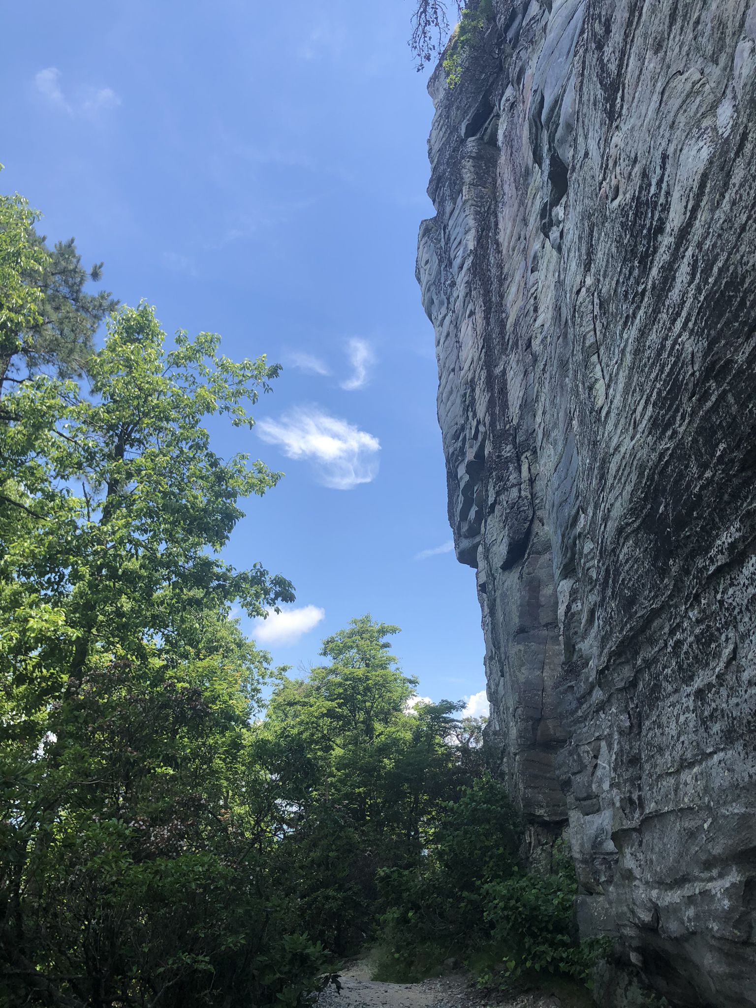Massive rock wall beside green trees and a path under a bright blue sky. - Pilot Knob Trail