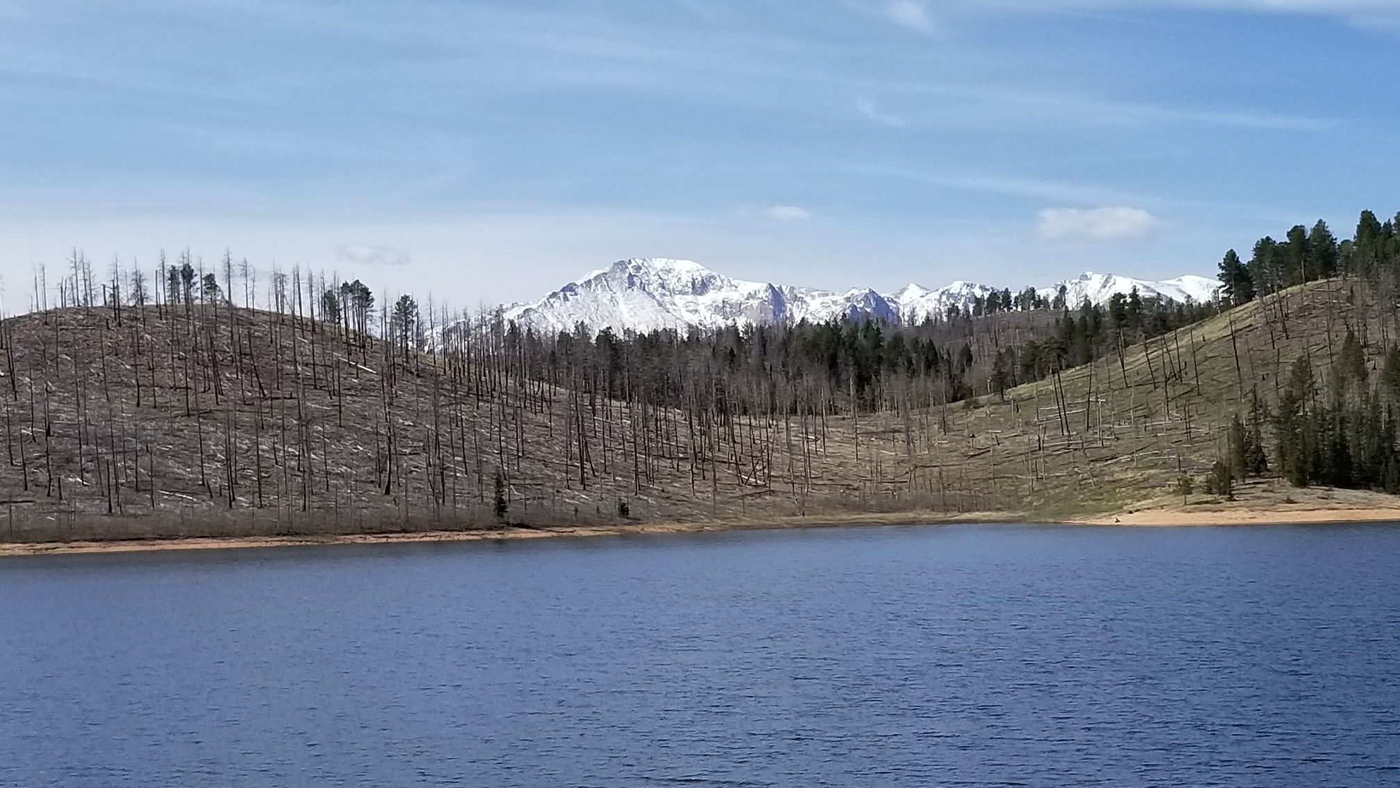 Calm lake with hills of burnt trees and majestic snow-covered mountains under blue sky. - Rampart Reservoir loop from Woodland Park