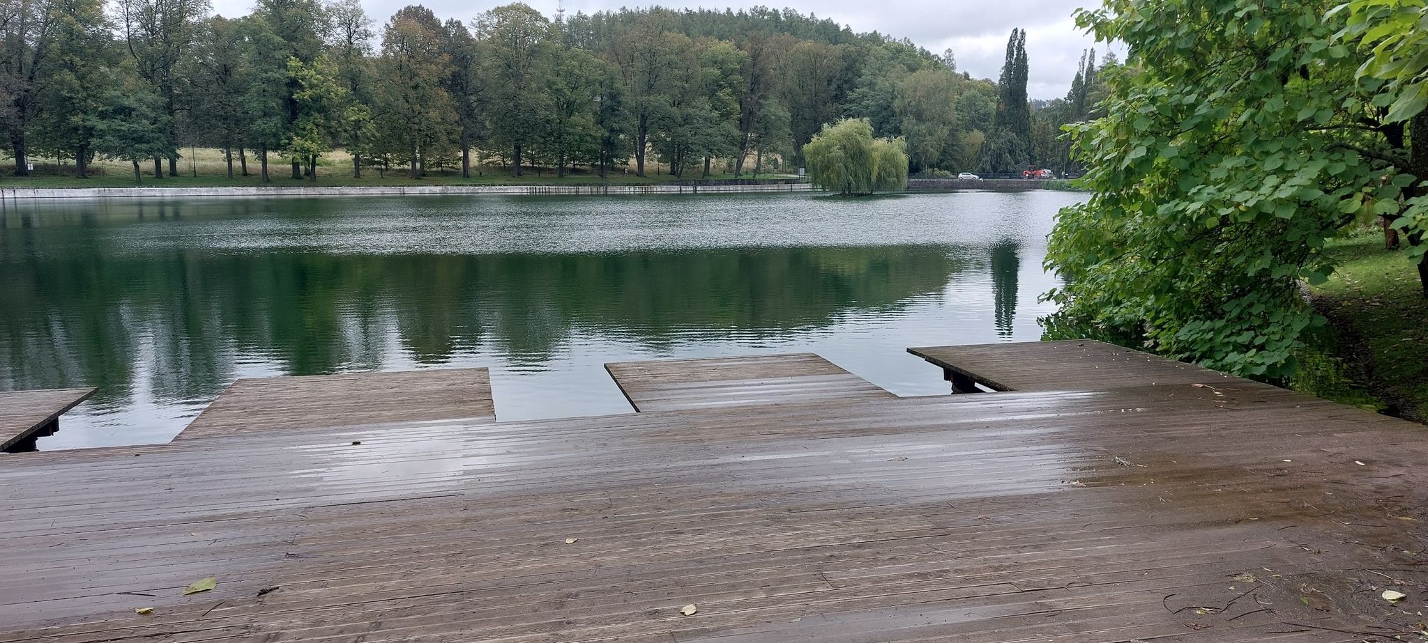 Teich