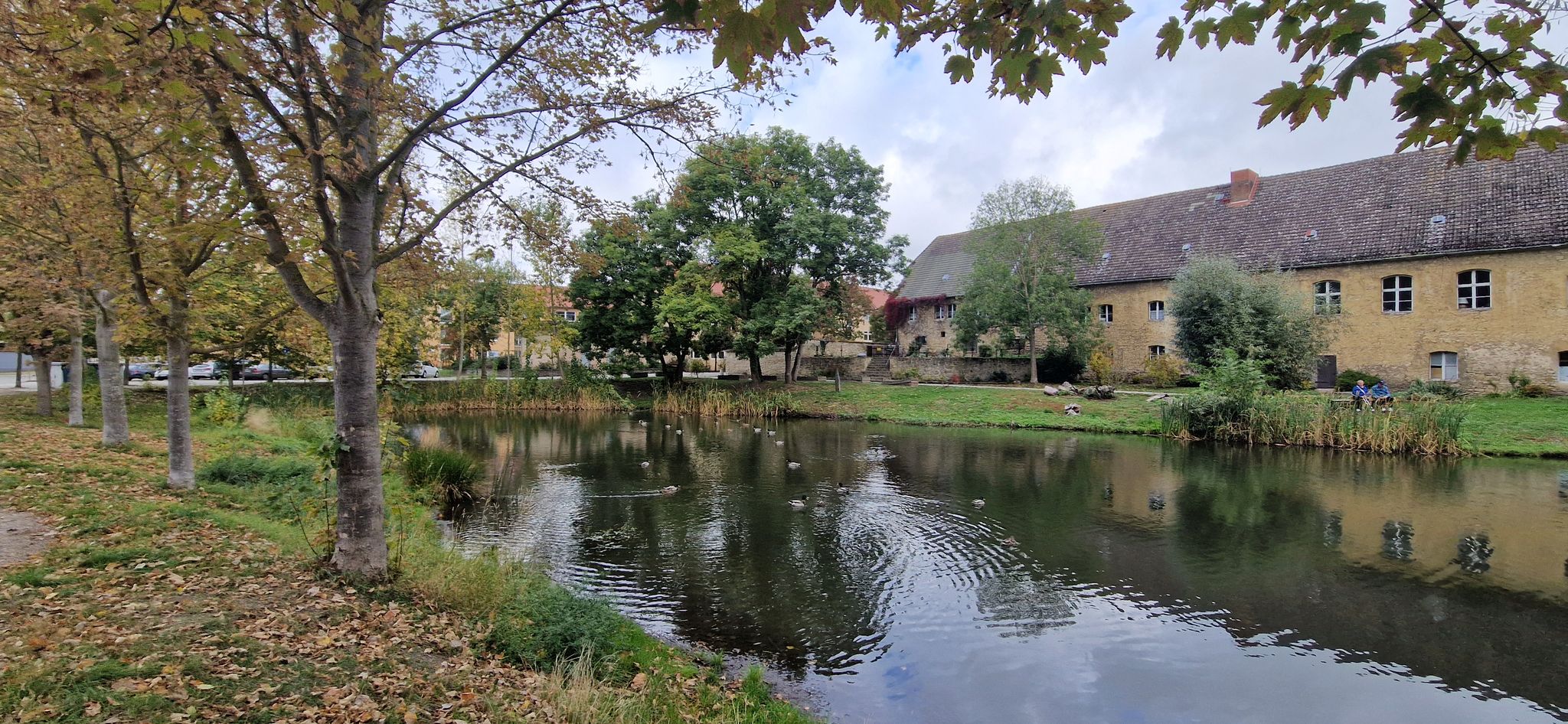 Teich in Egeln