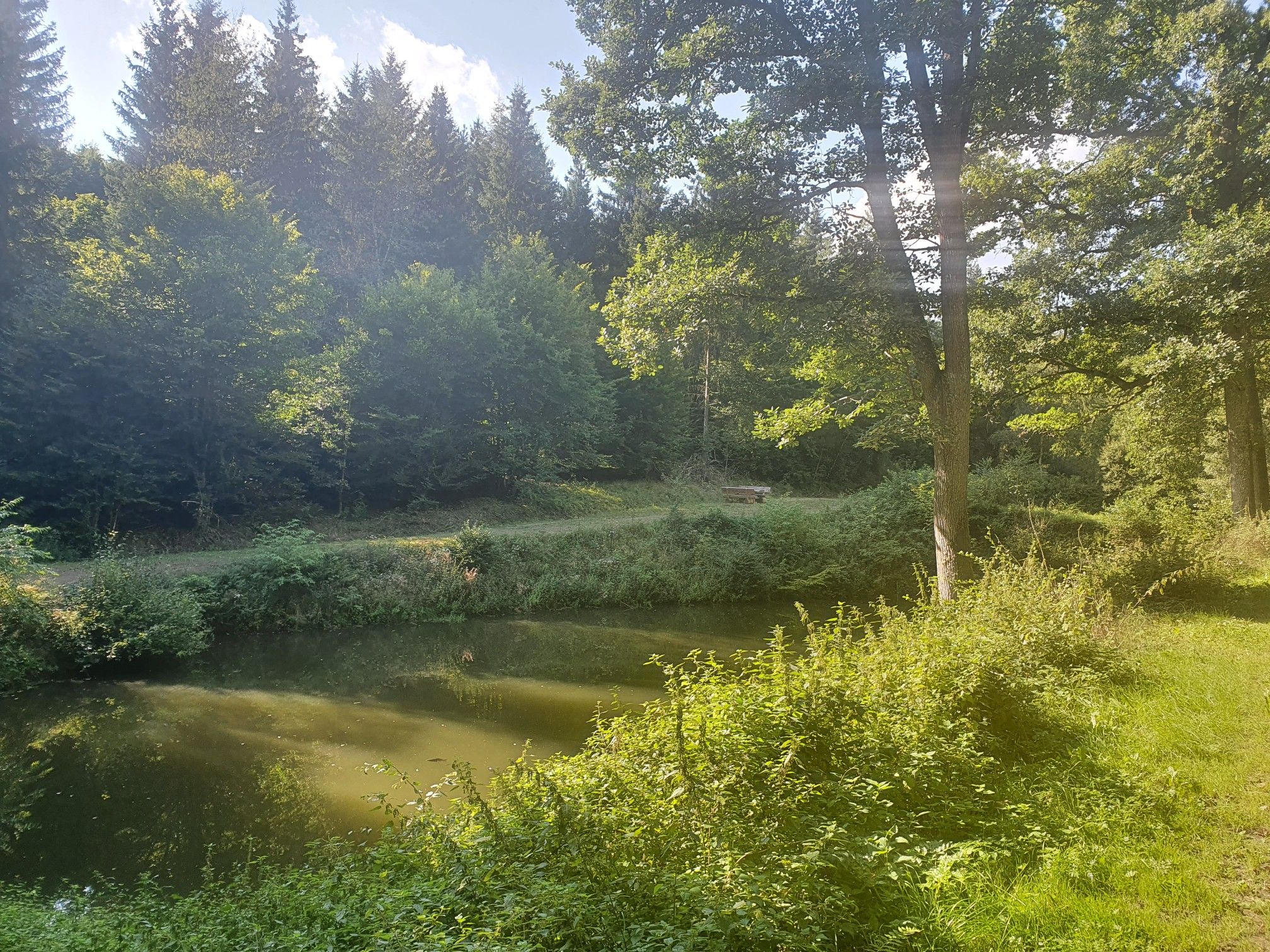 Bank am Teich