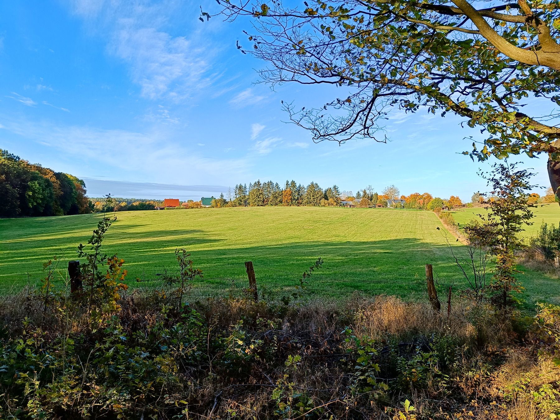 Blick nach Ringenwalde