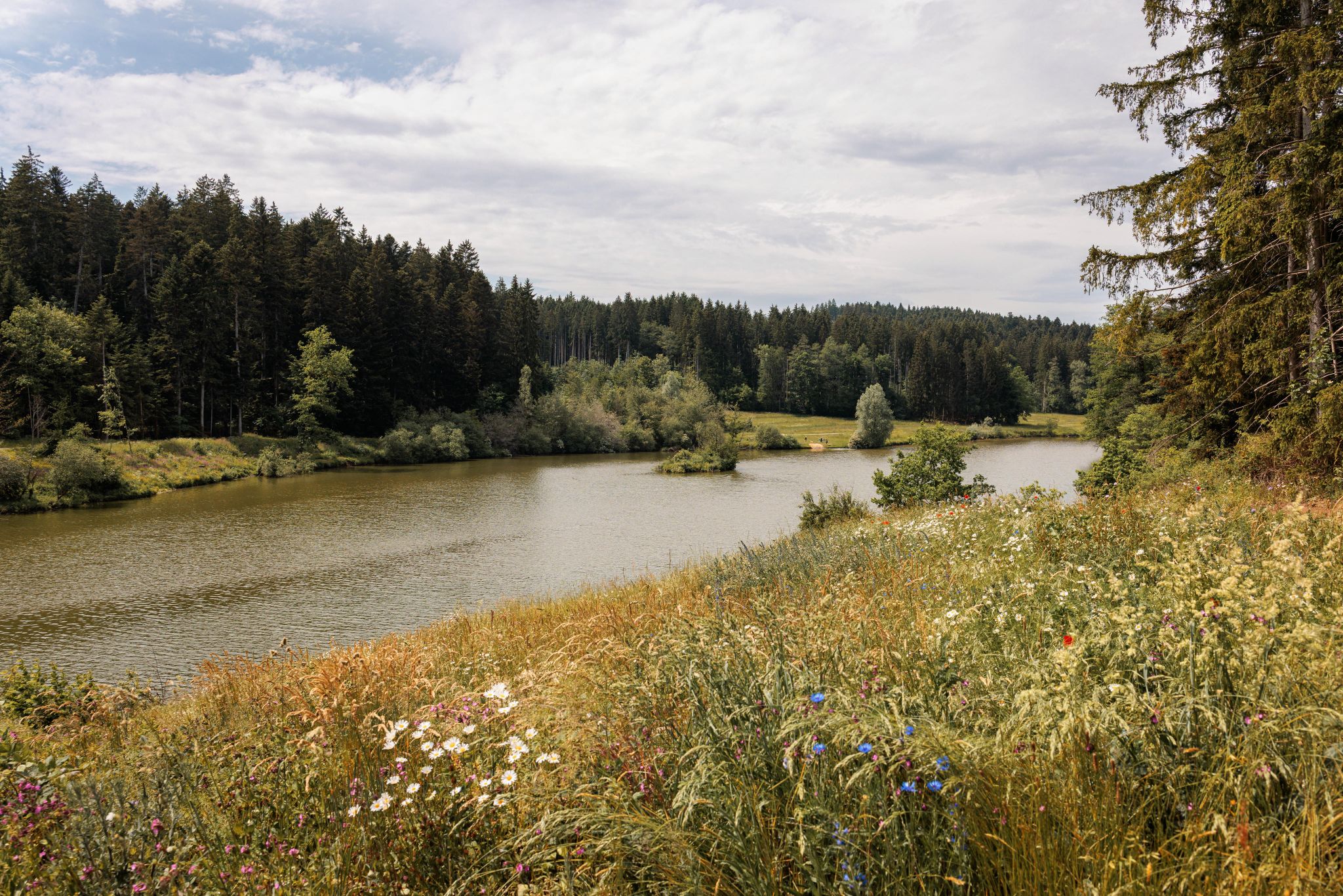 Zurück am See