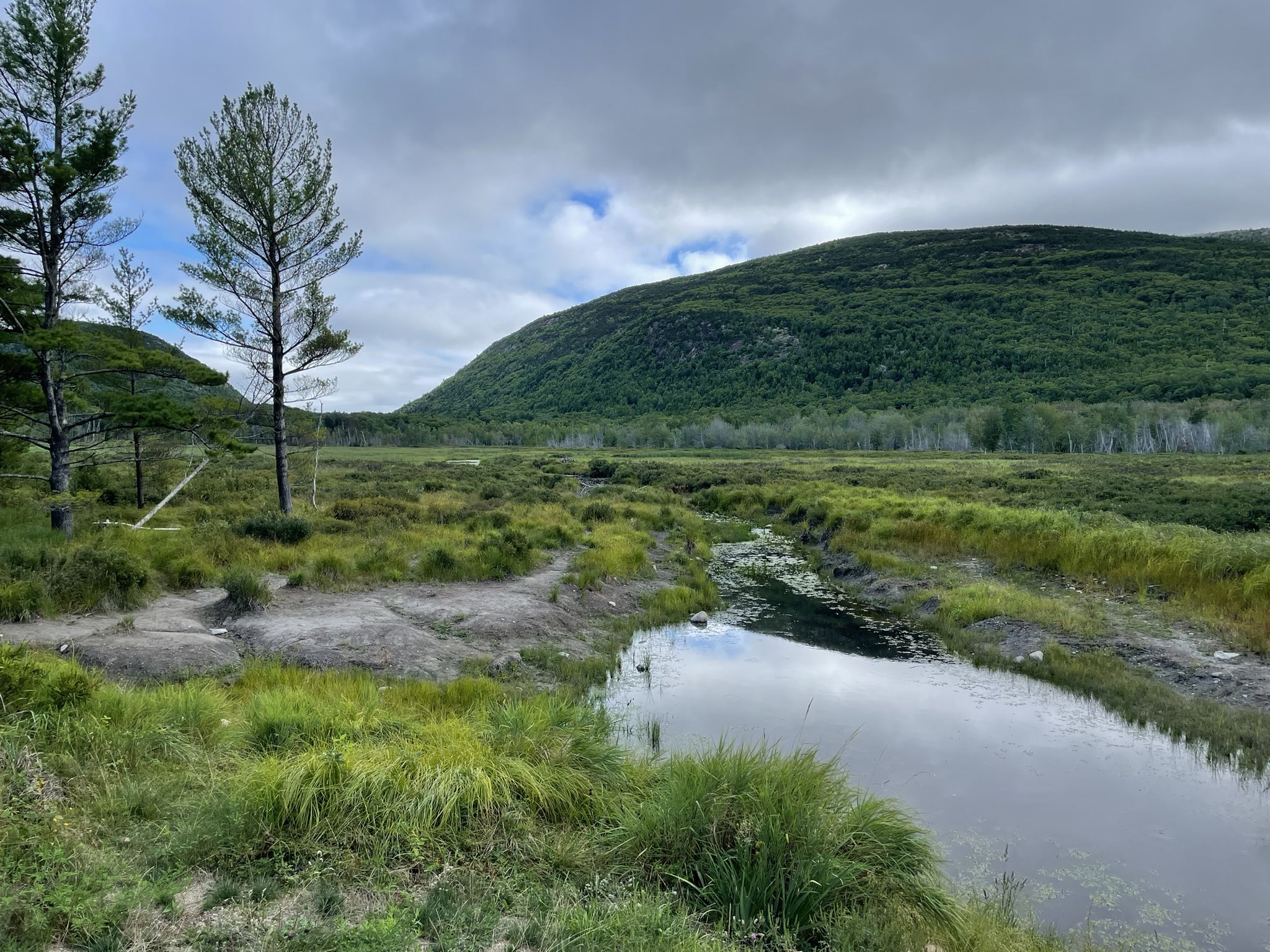 Small stream through grassy field towards forested mountain under cloudy sky. - Mount Desert Island loop