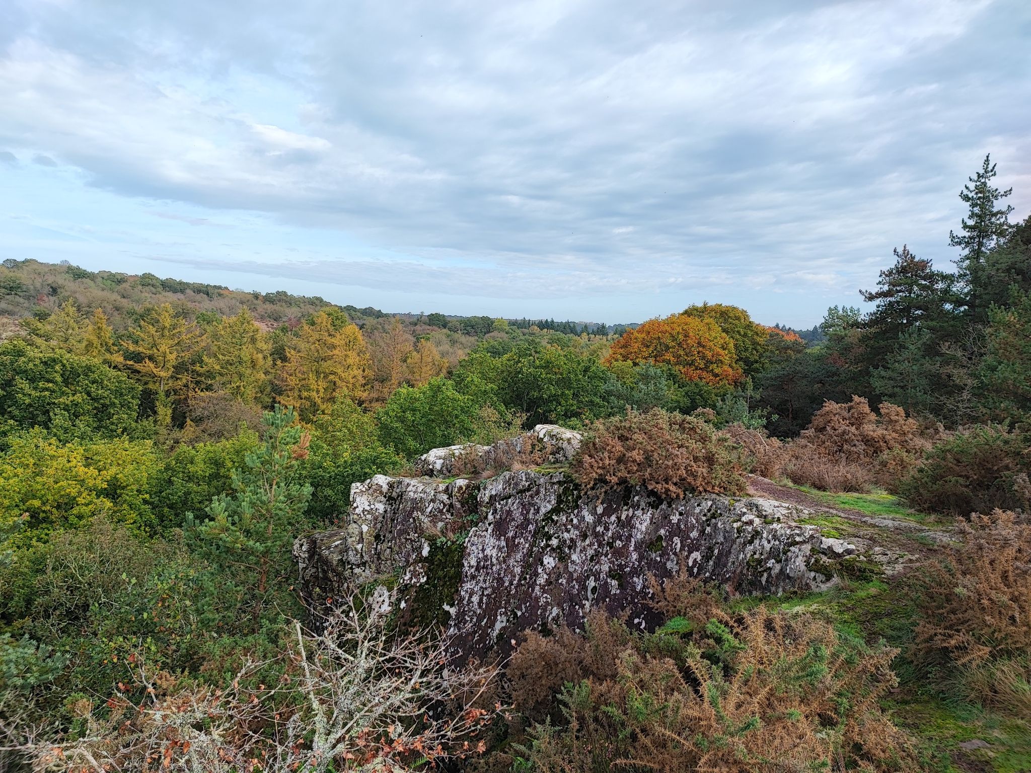 paysage vue d'en haut