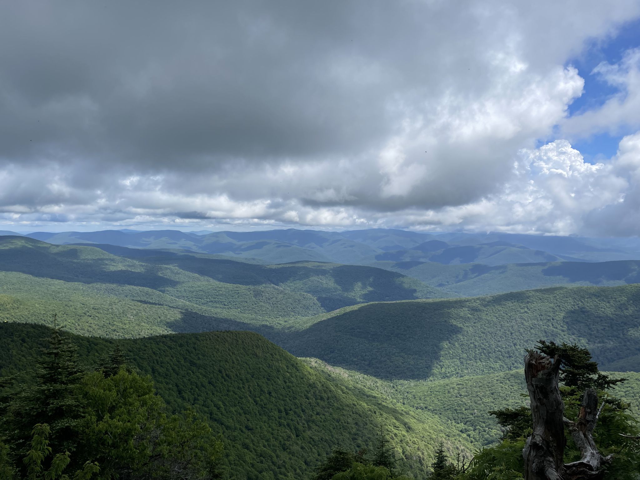 Expansive view of green, forested mountains under a cloudy sky with sun patches. - Slide Mountain Out-and-Back