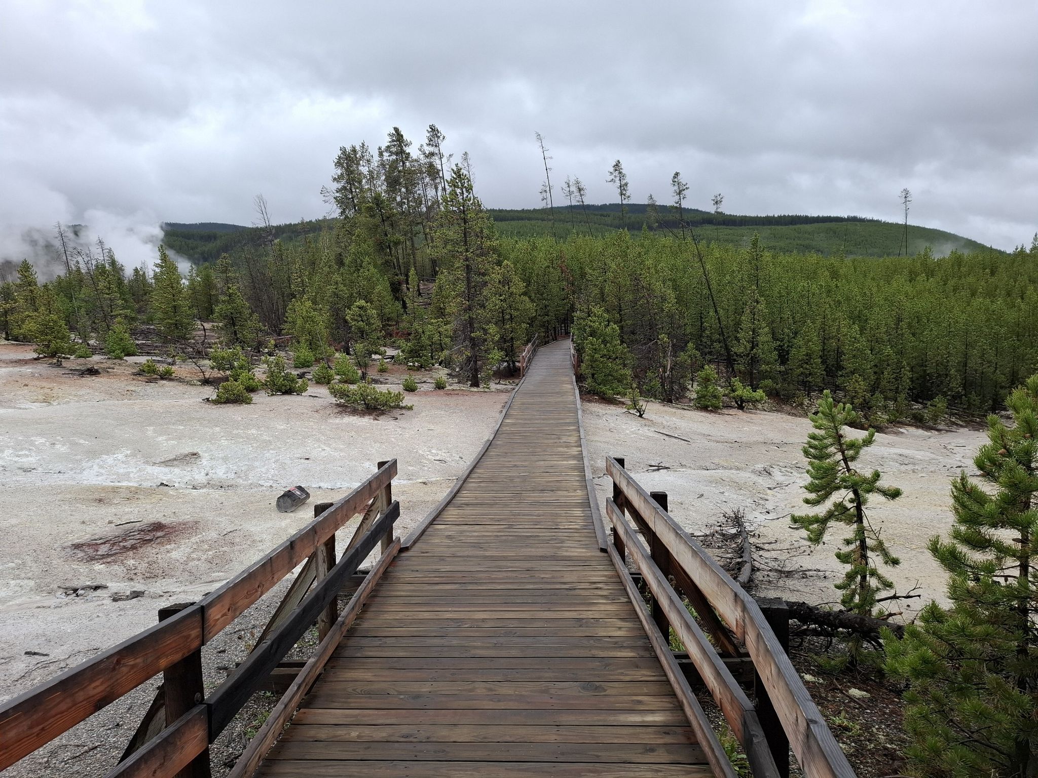 Wooden boardwalk through a steaming geothermal landscape under an overcast sky. - Steamboat Geyser and Norris Basin Loop Trail