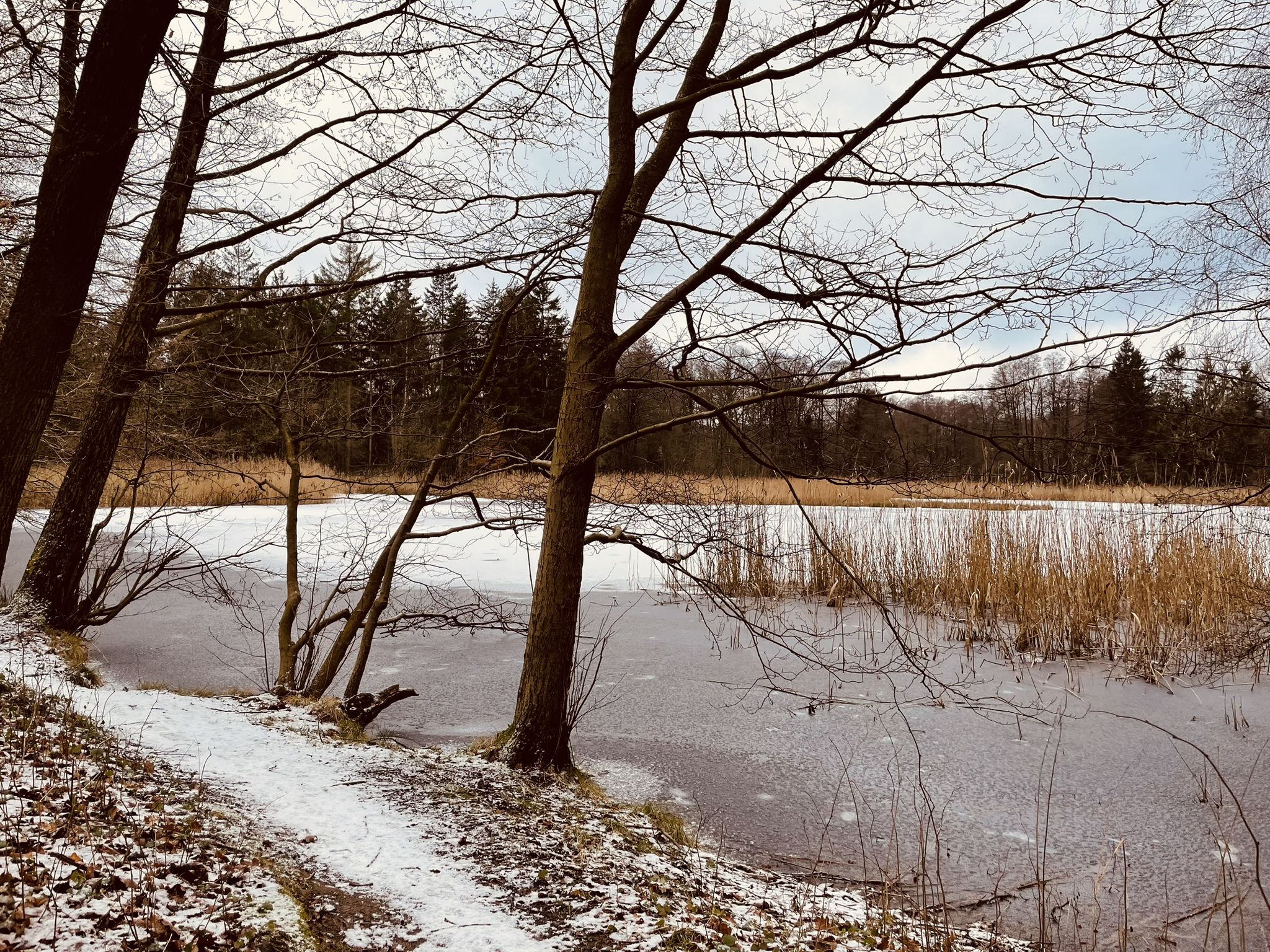Osterbachteich