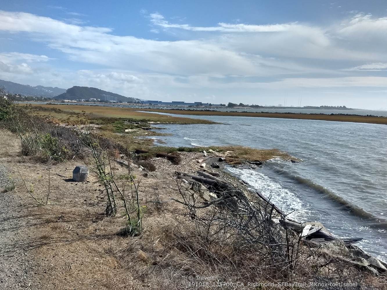 Rocky shoreline with driftwood and waves, mountains in the distance under a cloudy sky. - Richmond Bay Trail – Shimada Friendship Park loop from Rosie the Riveter/World War II Home Front National Historical Park