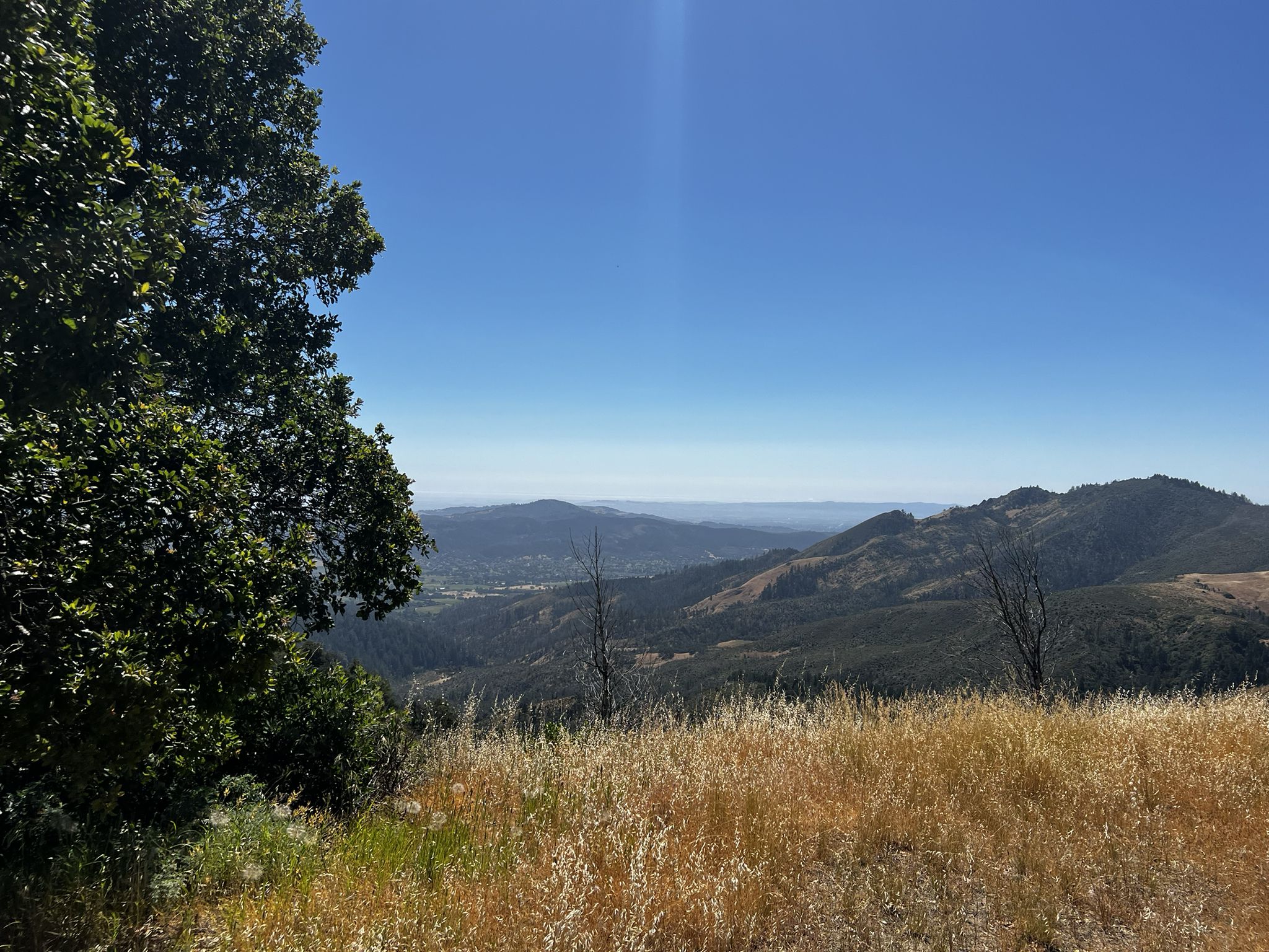 Panoramic view of forested mountains and a valley under a clear blue sky. - Bald Mountain Summit loop from Day Use Parking