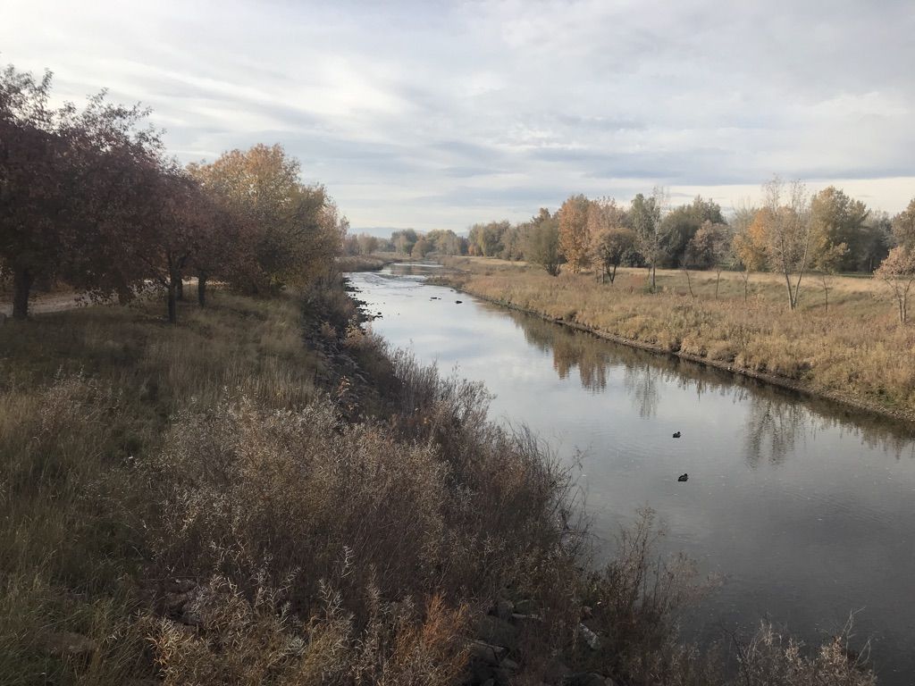 A river with ducks, dry grass, and bare trees under a cloudy sky. - Mary Carter Greenway Trail