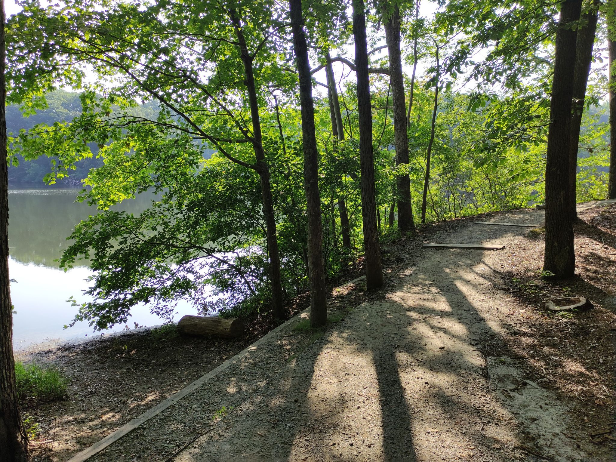 Sunny dirt path winding along a calm lake, surrounded by green trees. - The Noland Trail