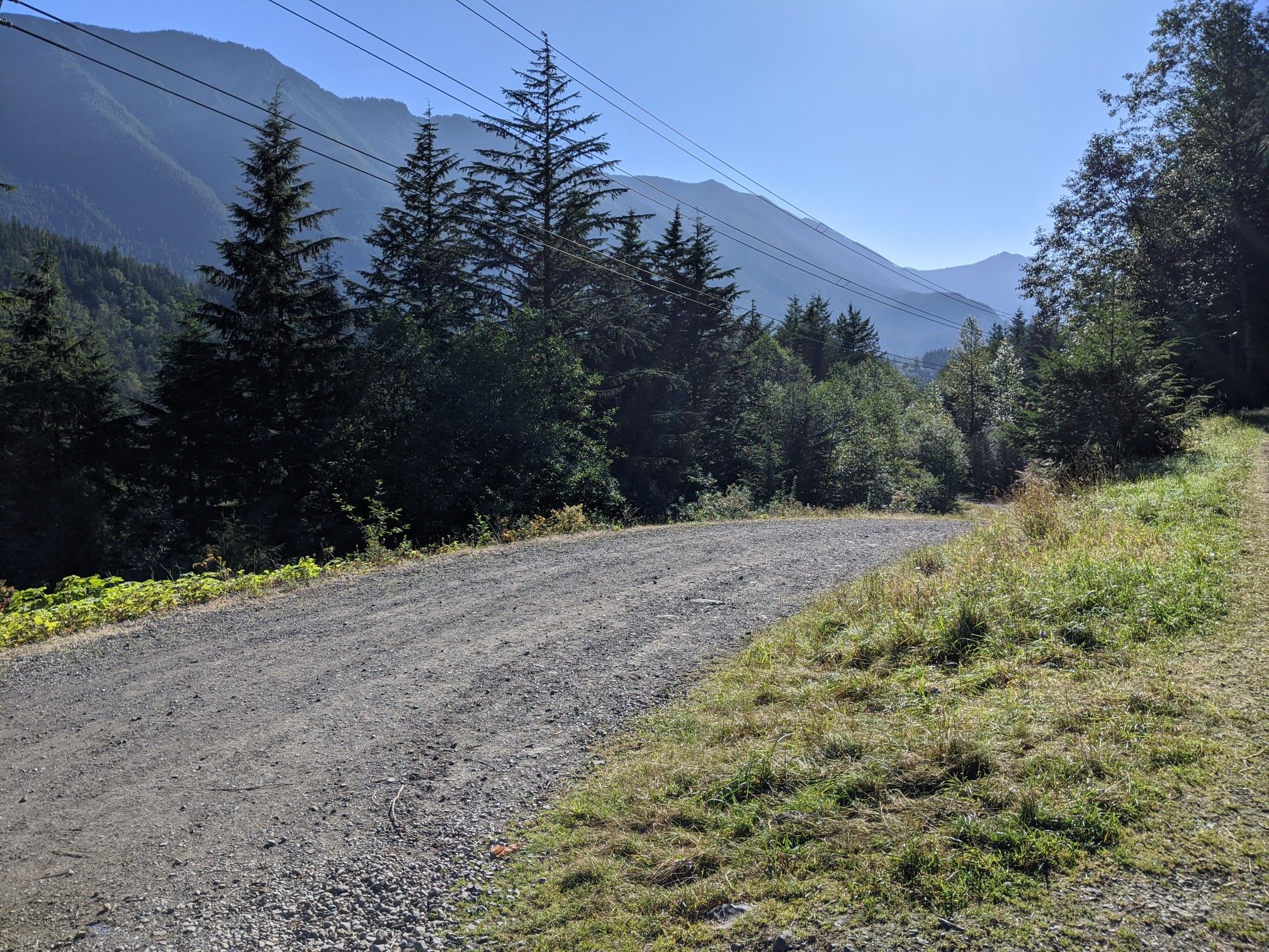 Sunny gravel road winding through a mountain forest with power lines. - Cedar Falls – Change Creek Trestle loop from Wilderness Rim