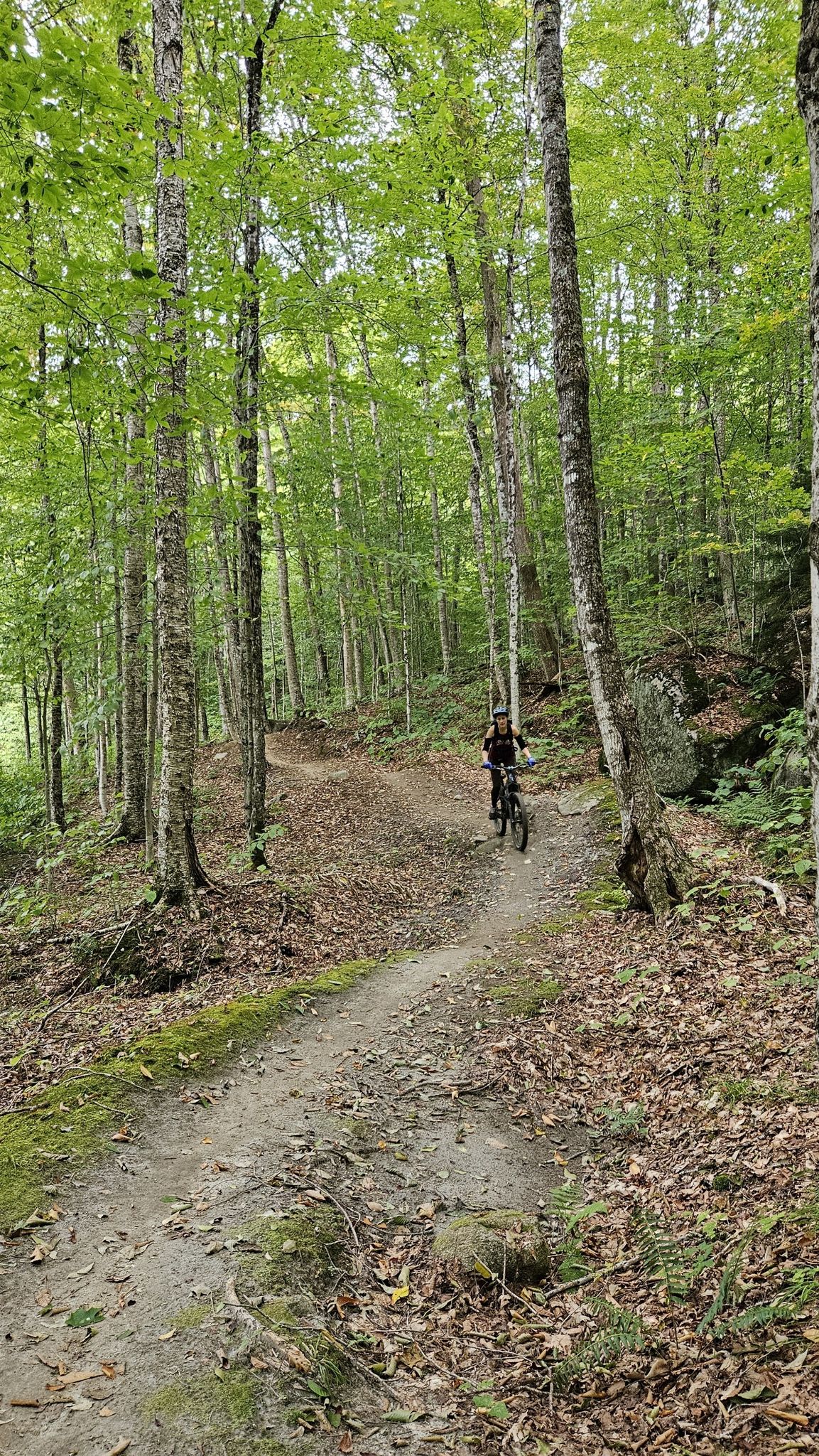 A person mountain biking on a dirt trail through a lush green forest. - Green Woodlands loop