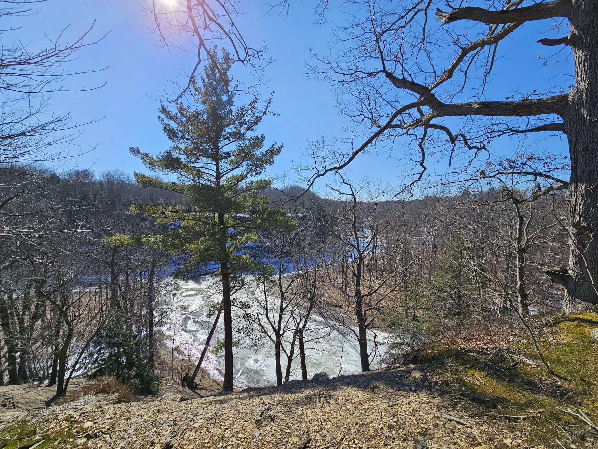 Bright sunny view of an icy river through bare trees. - Gorge Rim Trail