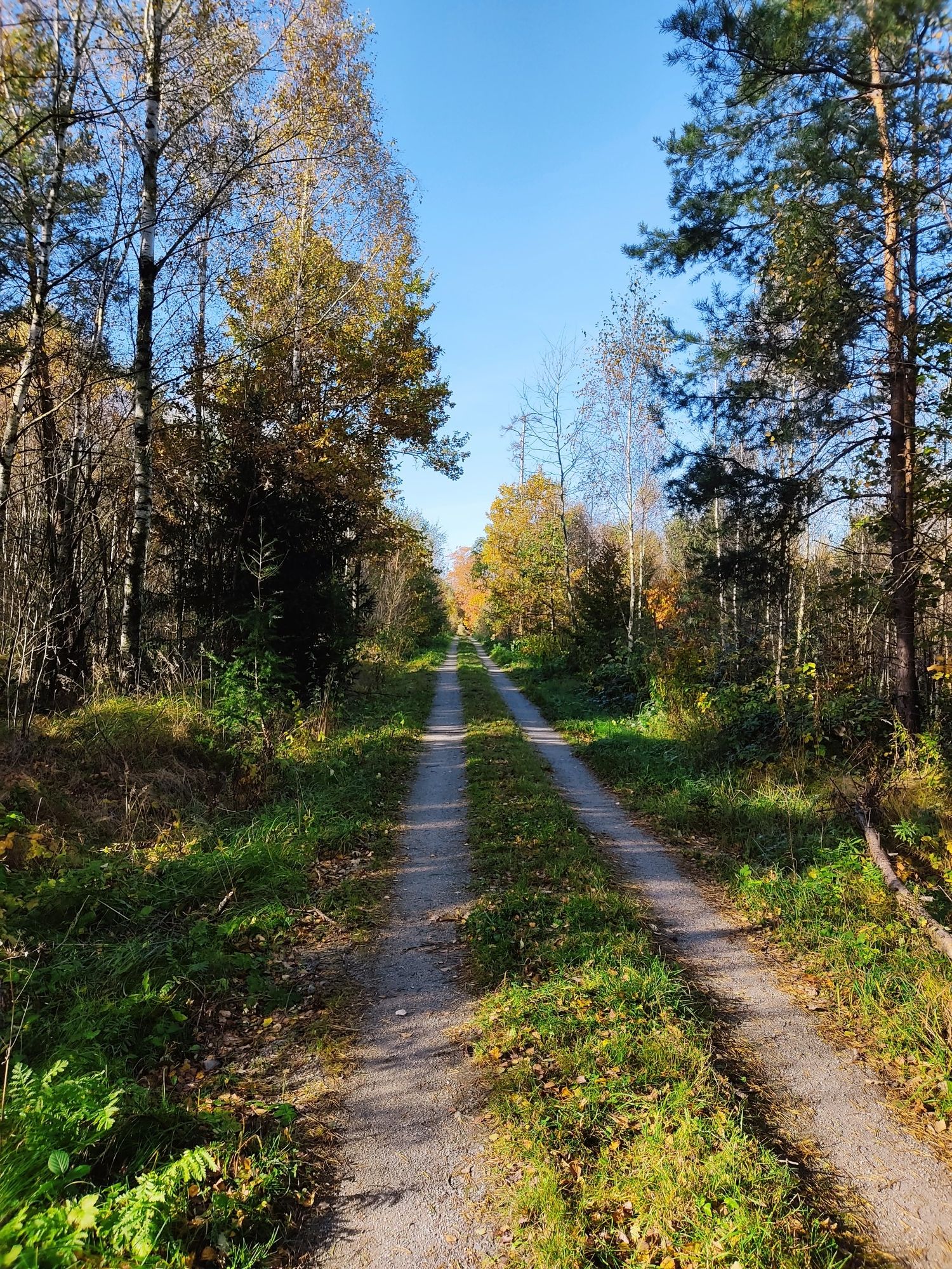 Rad und Wanderweg