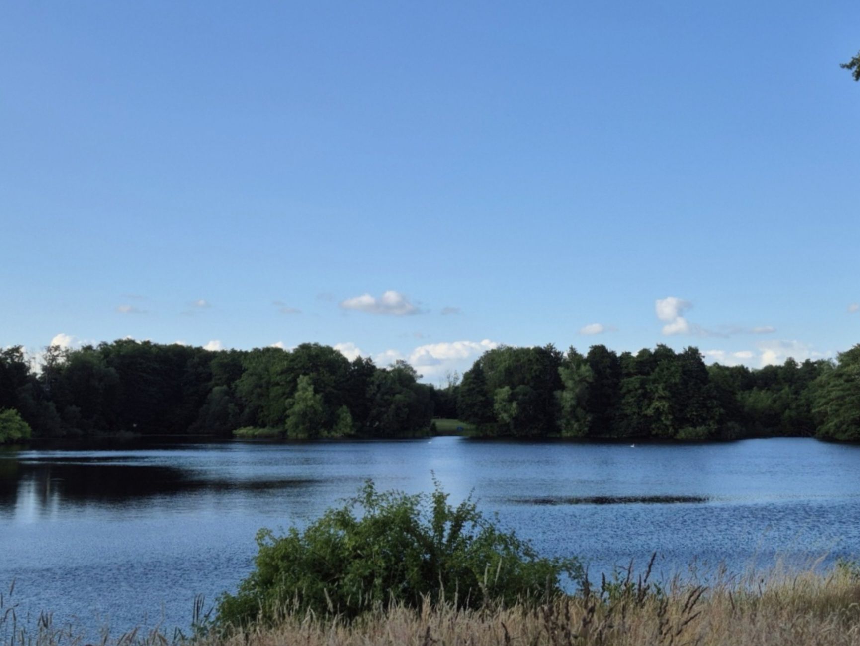Lankower See. Bisschen kleiner und extrem still und romantisch im frühen Abendlicht
