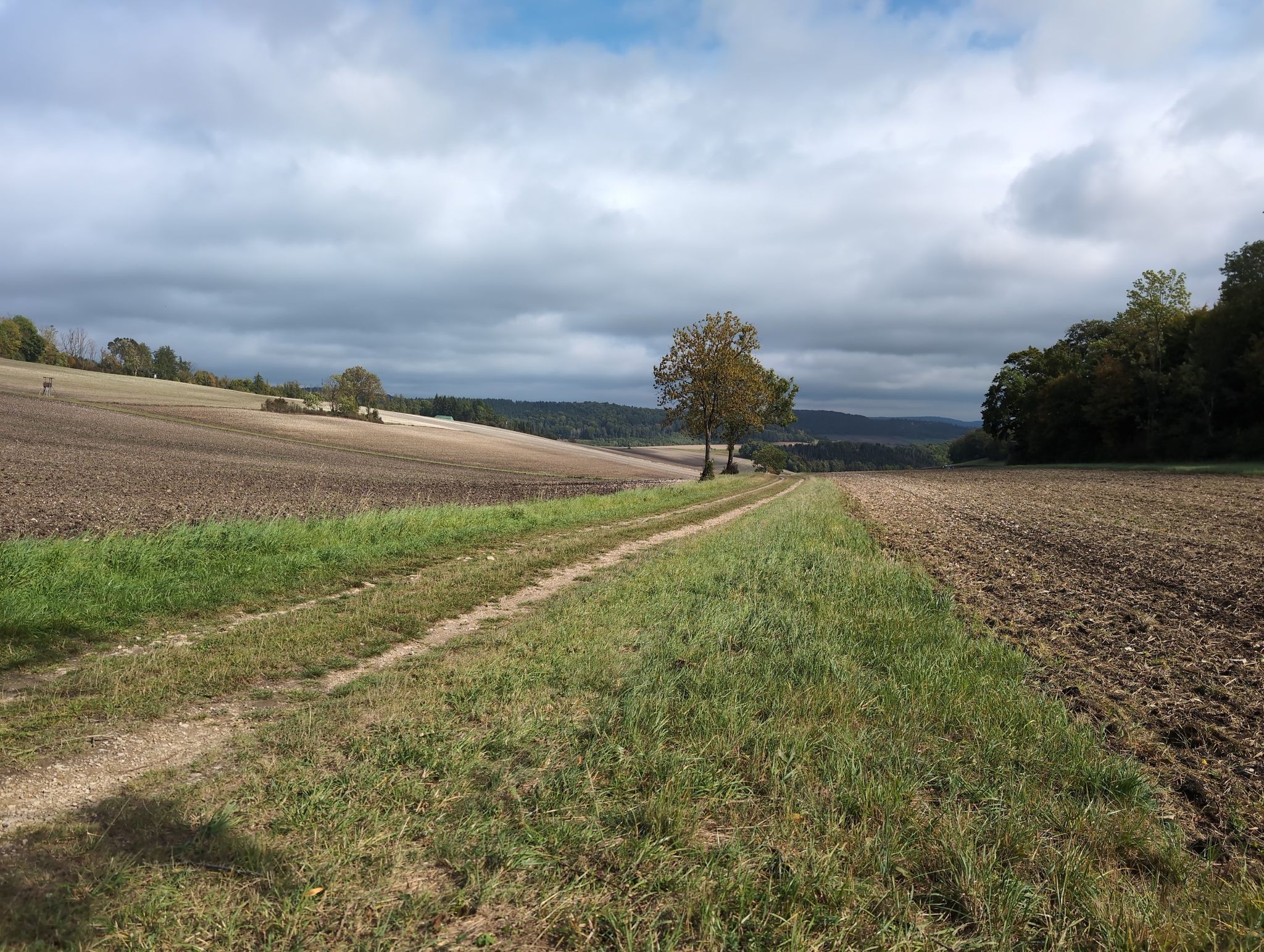 herlicher Weitblick