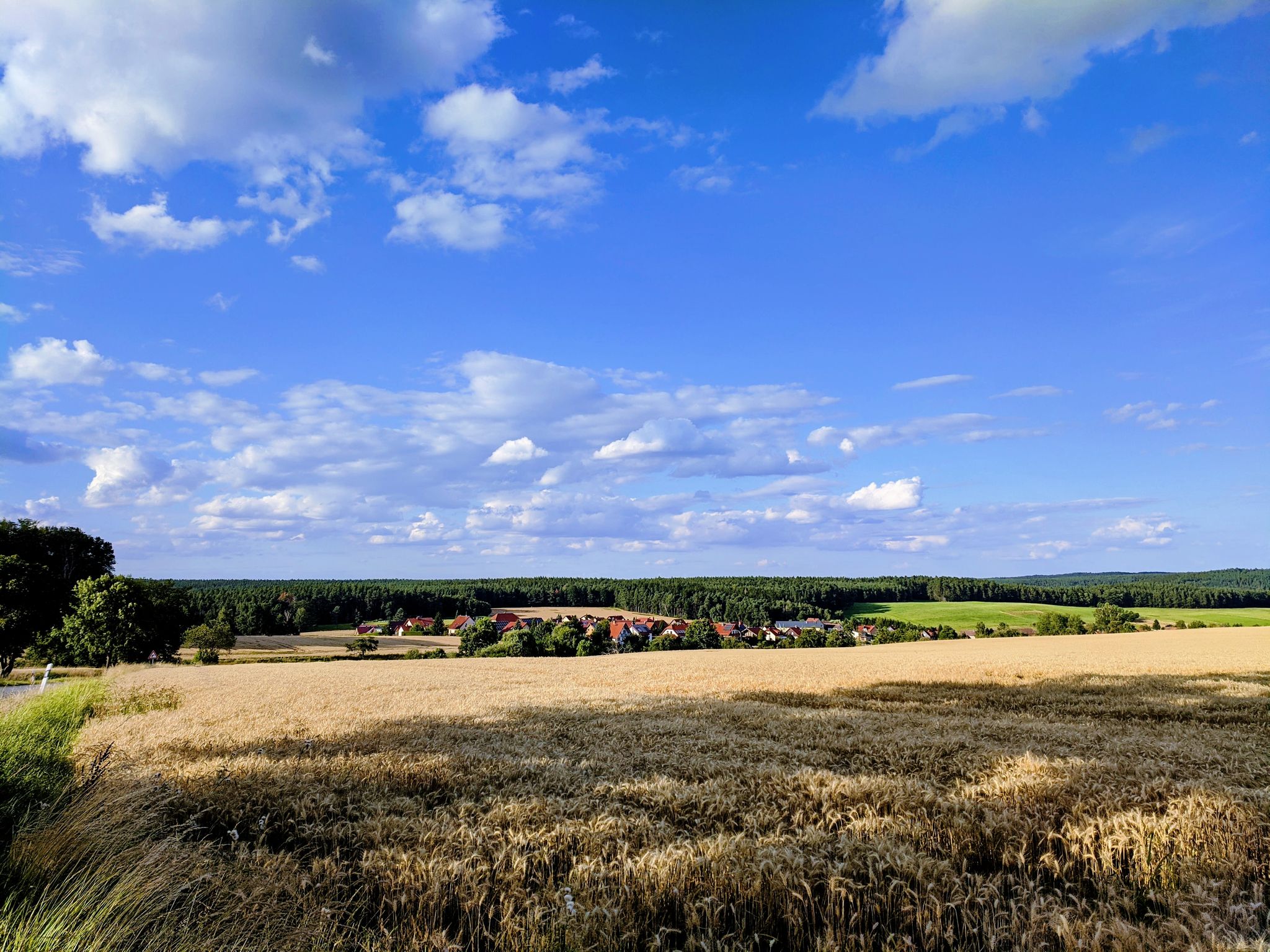 Ausblick auf Trockenborn 😊