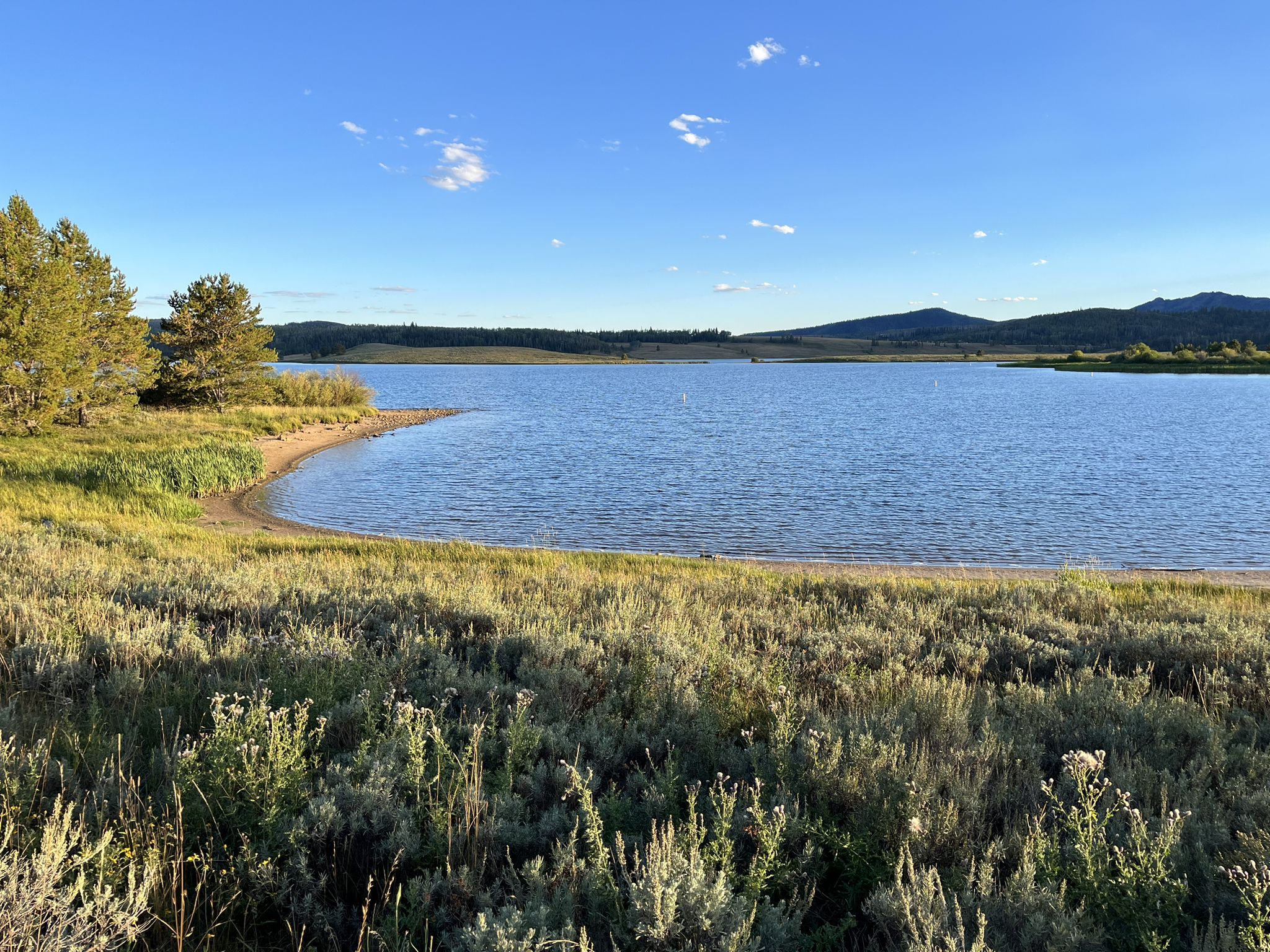 Calm lake with grassy shore and distant hills under a clear blue sky. - Willow Creek Trail