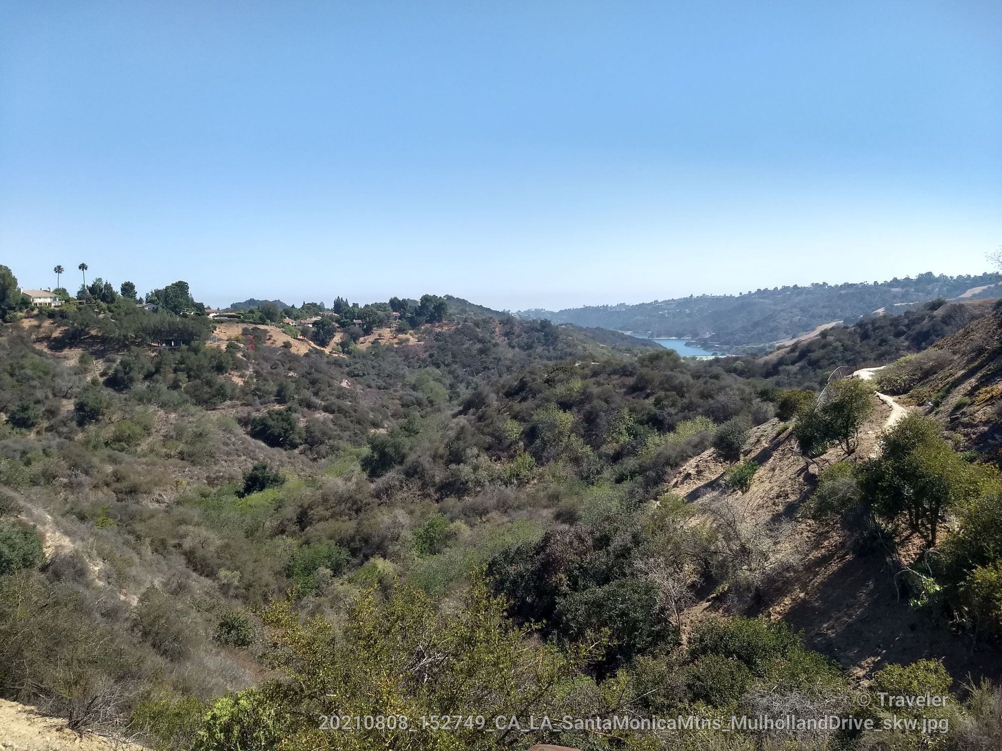 Expansive view of green and dry hills, with a distant body of water. - Mulholland Drive Loop
