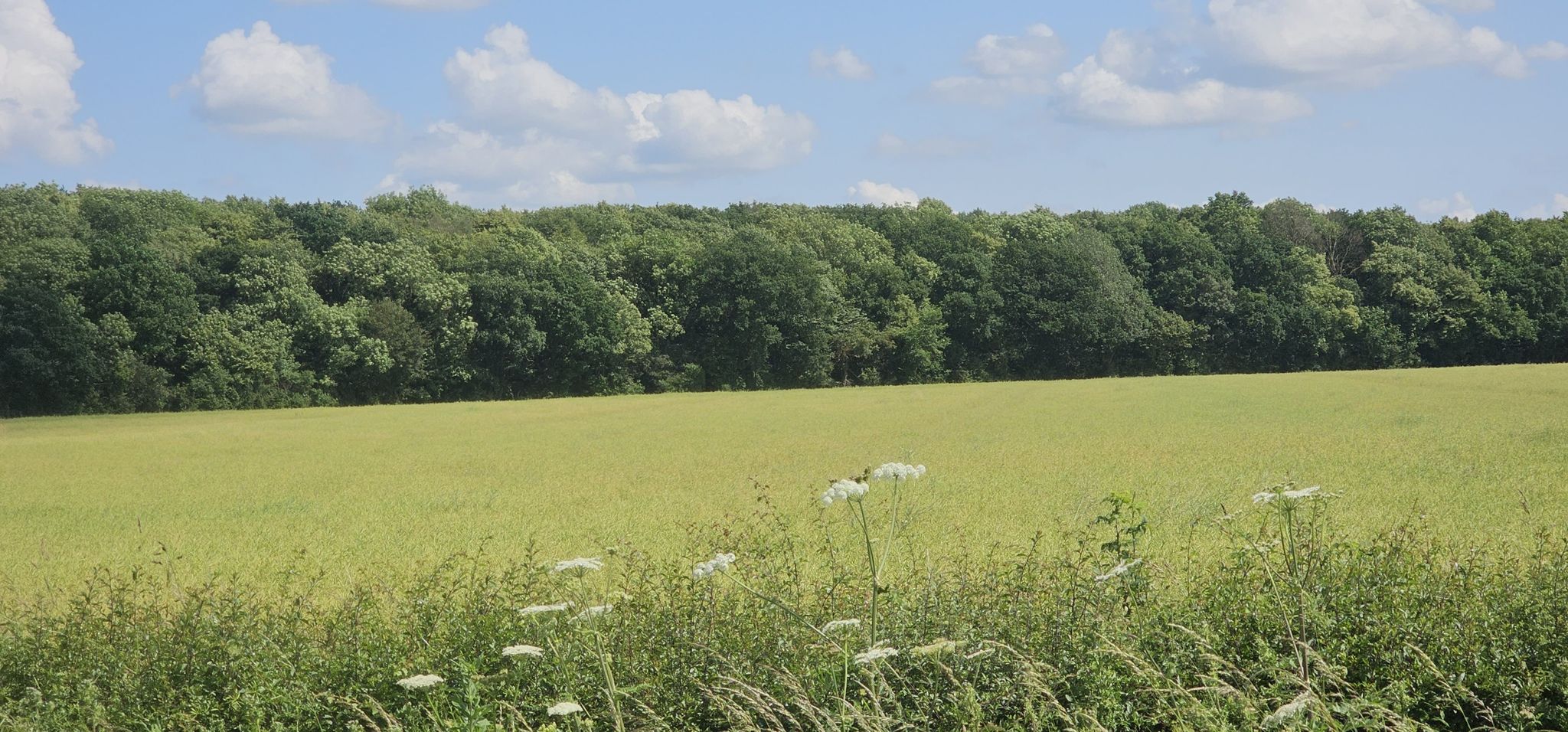 Felder so weit das Auge reicht bei Bardney