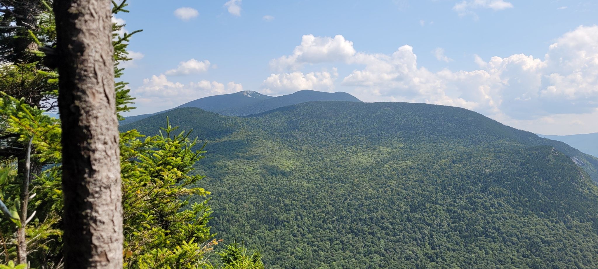 Lush green forested mountains under a bright blue sky with scattered clouds. - Eyebrow Trail Loop