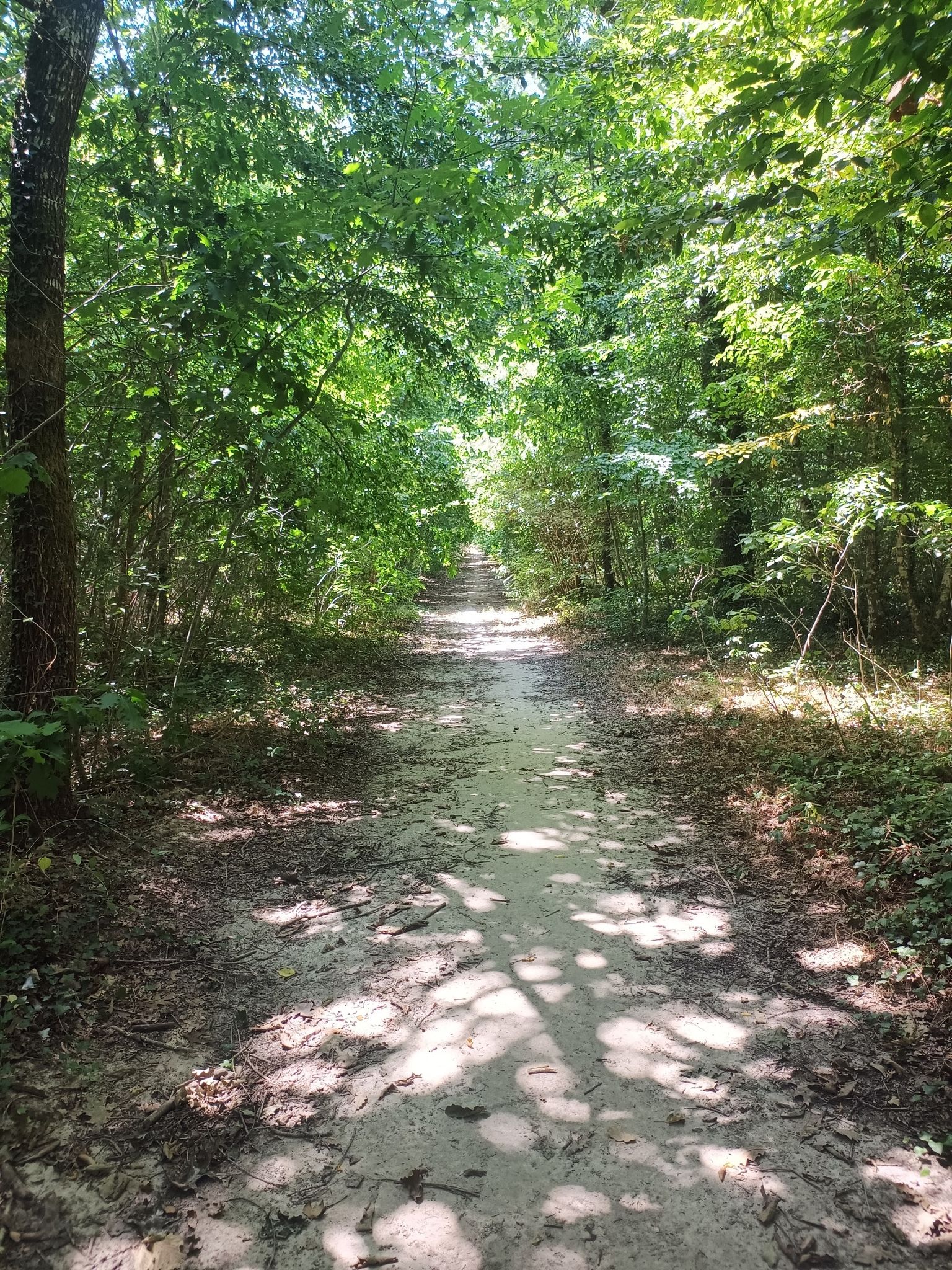 Forêt d'agre
