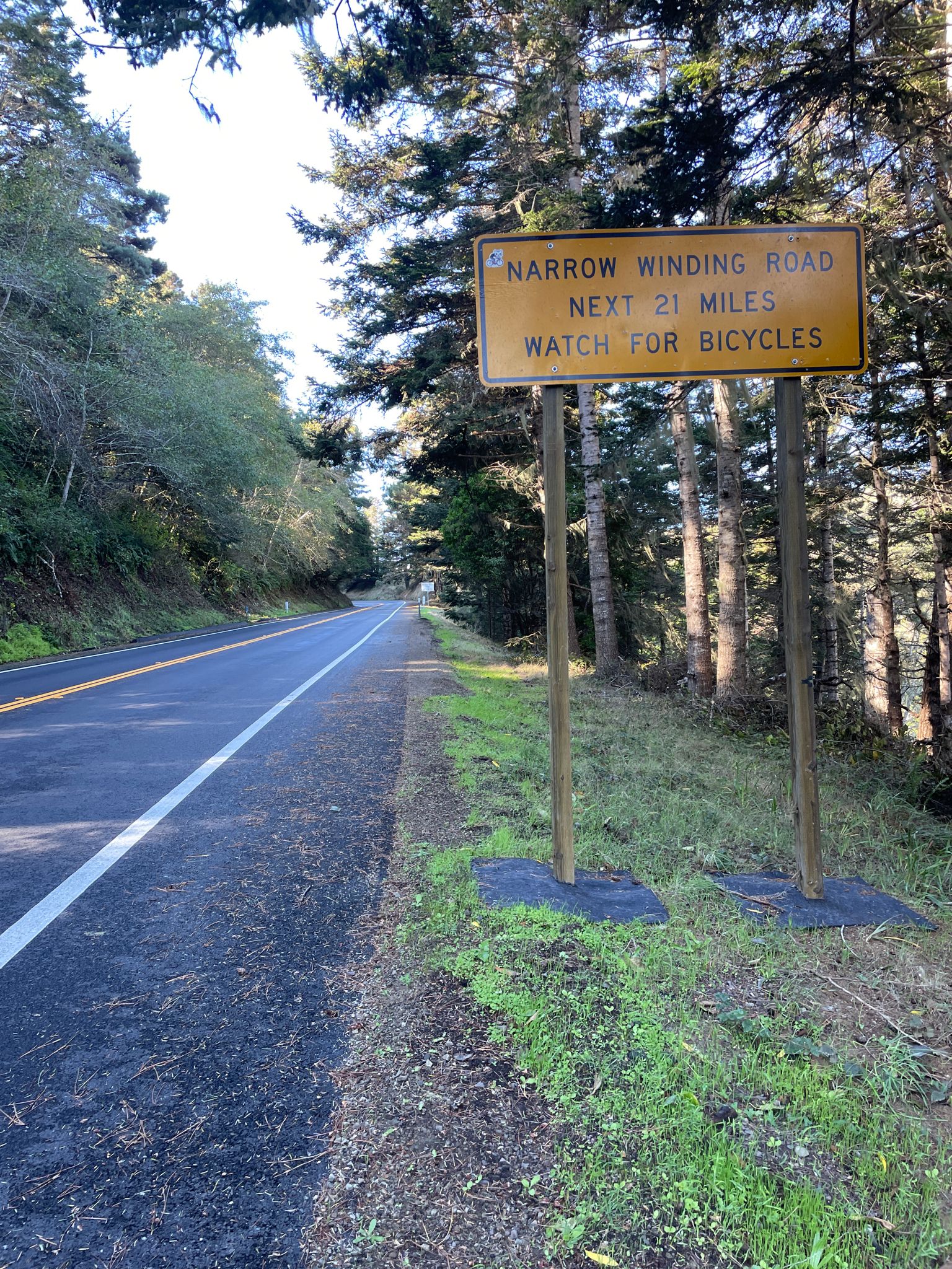 Yellow warning sign beside a paved road through a dense forest in daylight. - Philo-Greenwood Road loop