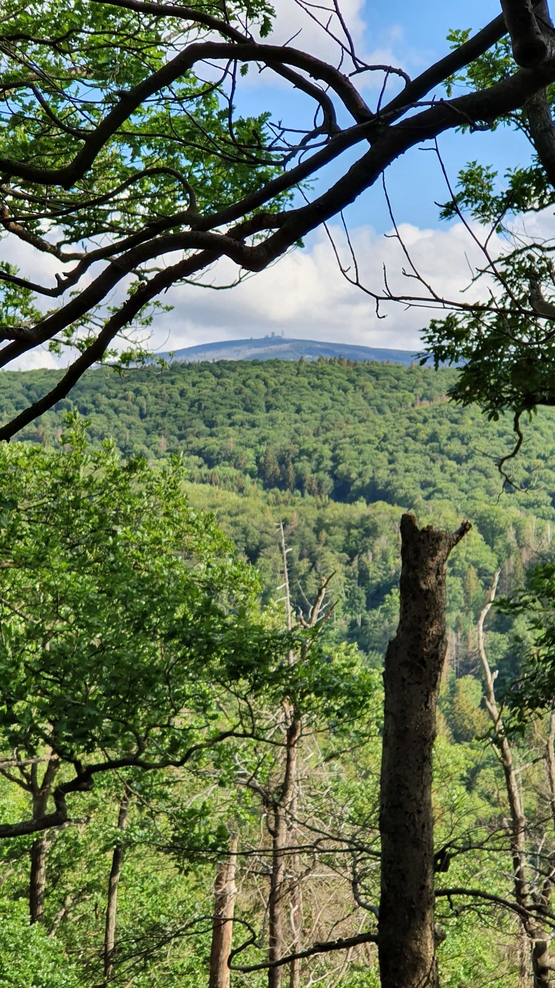 Brockenblick
