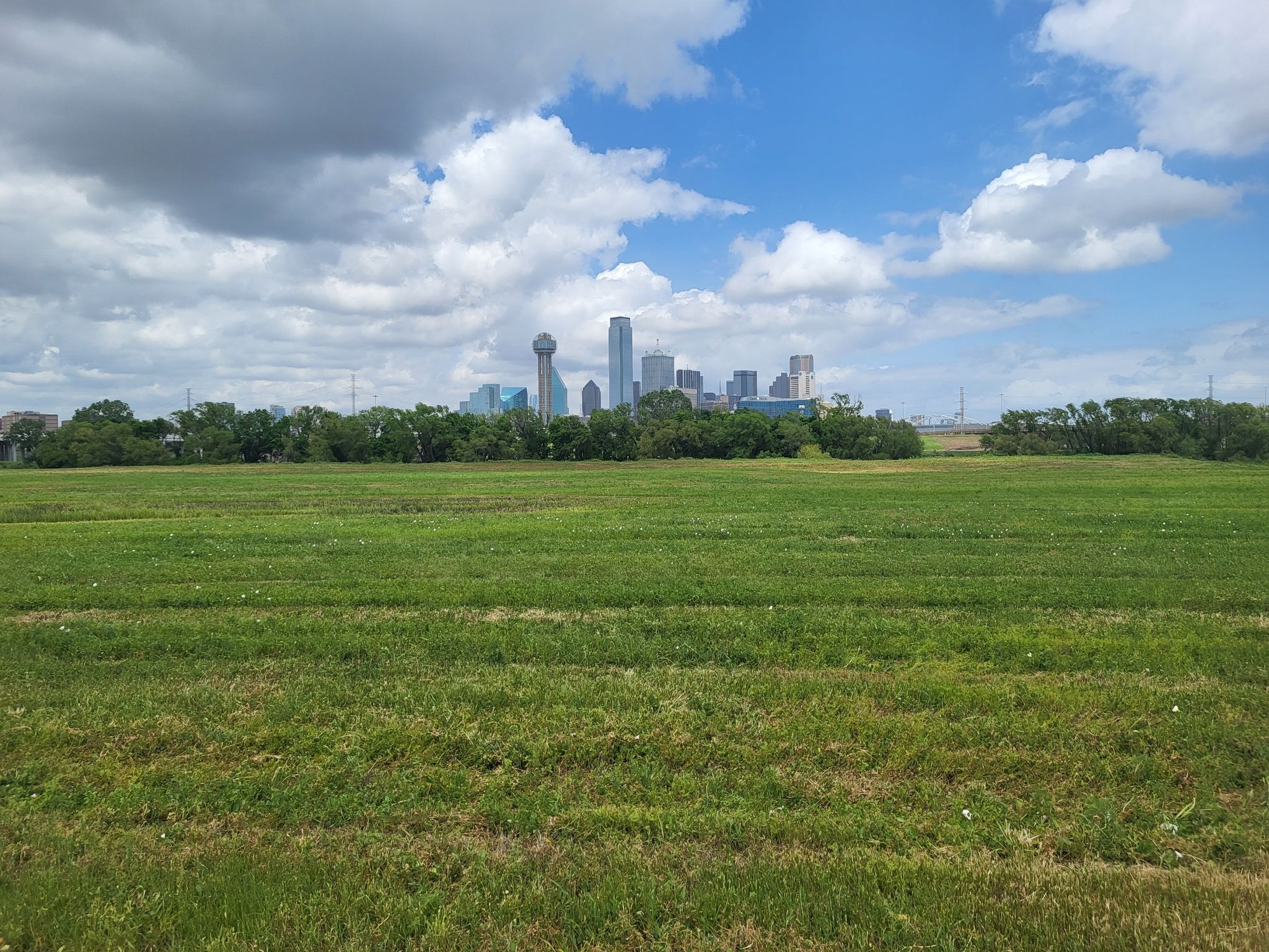 Green field stretching towards a distant city skyline under a cloudy sky. - Dallas Morning News – Trinity Levee Trail loop from Union Station