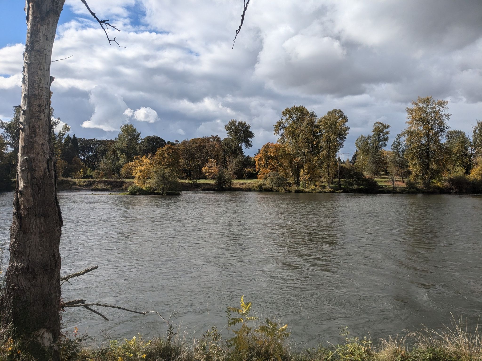 Wide river with autumn trees on the far bank under cloudy sky. - McKenzie 3 River loop from Amtrak Station