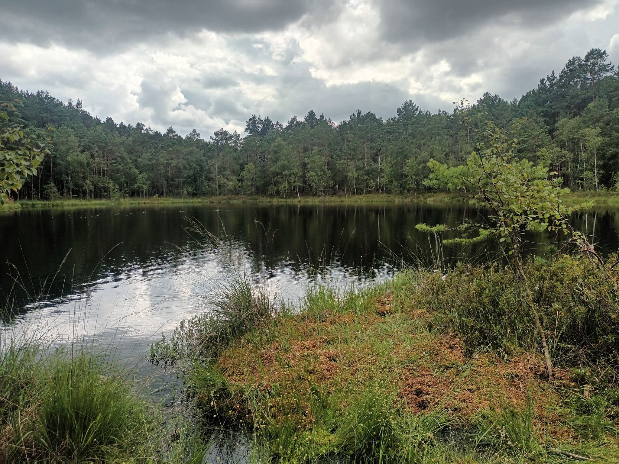 teich