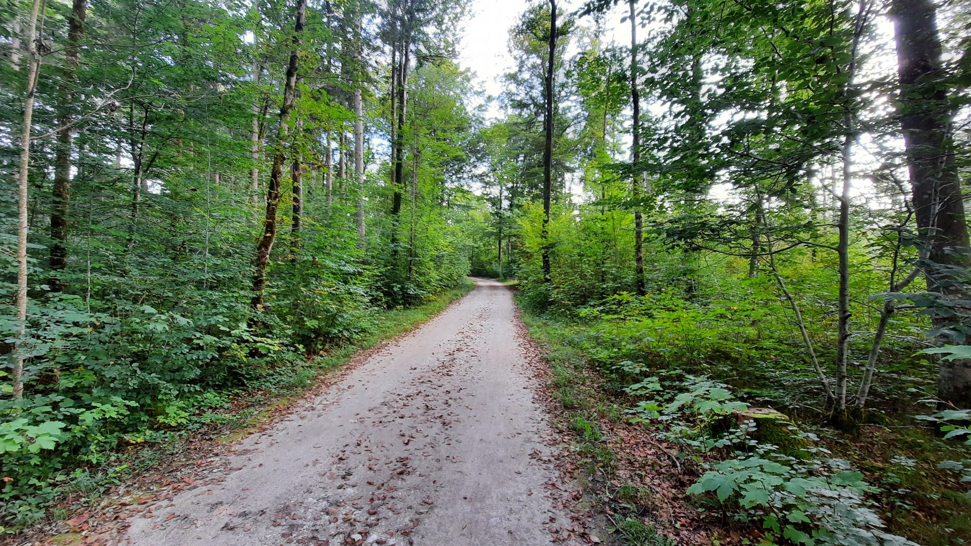 Zehnerhüttenweg
