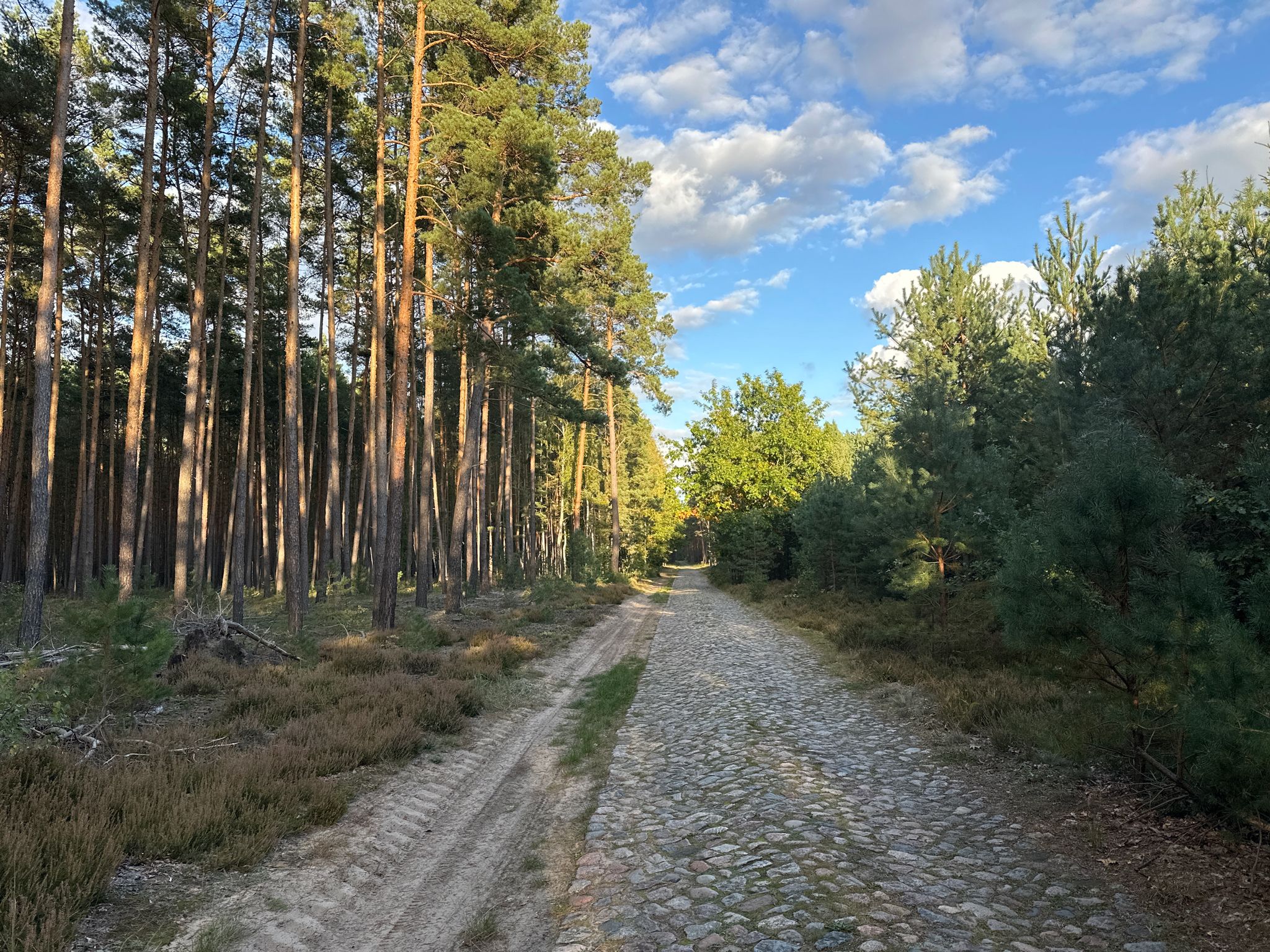 Kersdorfer Schleuse-Jacobsdorf, 200 m Kopfsteinpflaster