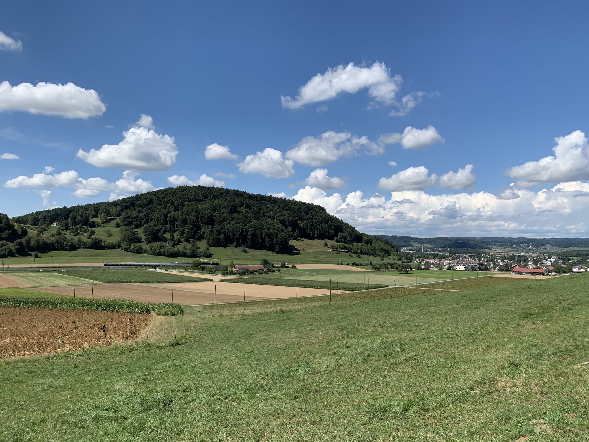 Blick Richtung Wölflishalden
