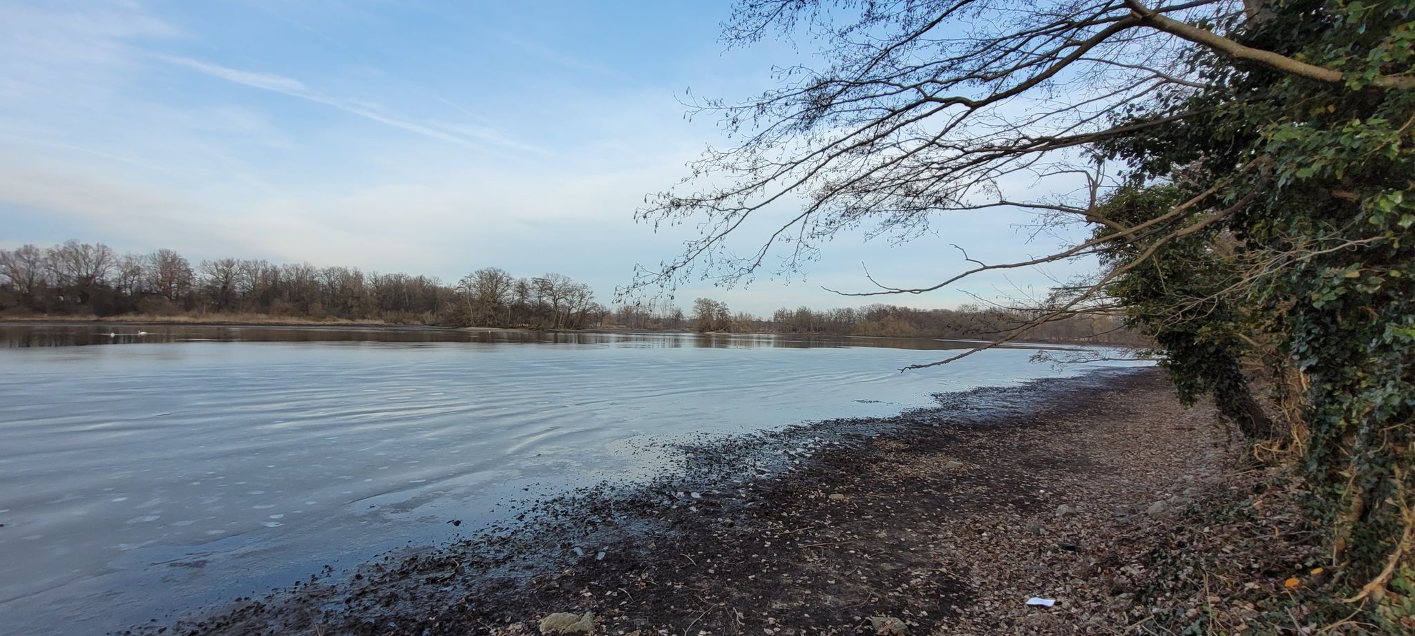 Schapenbruchteich