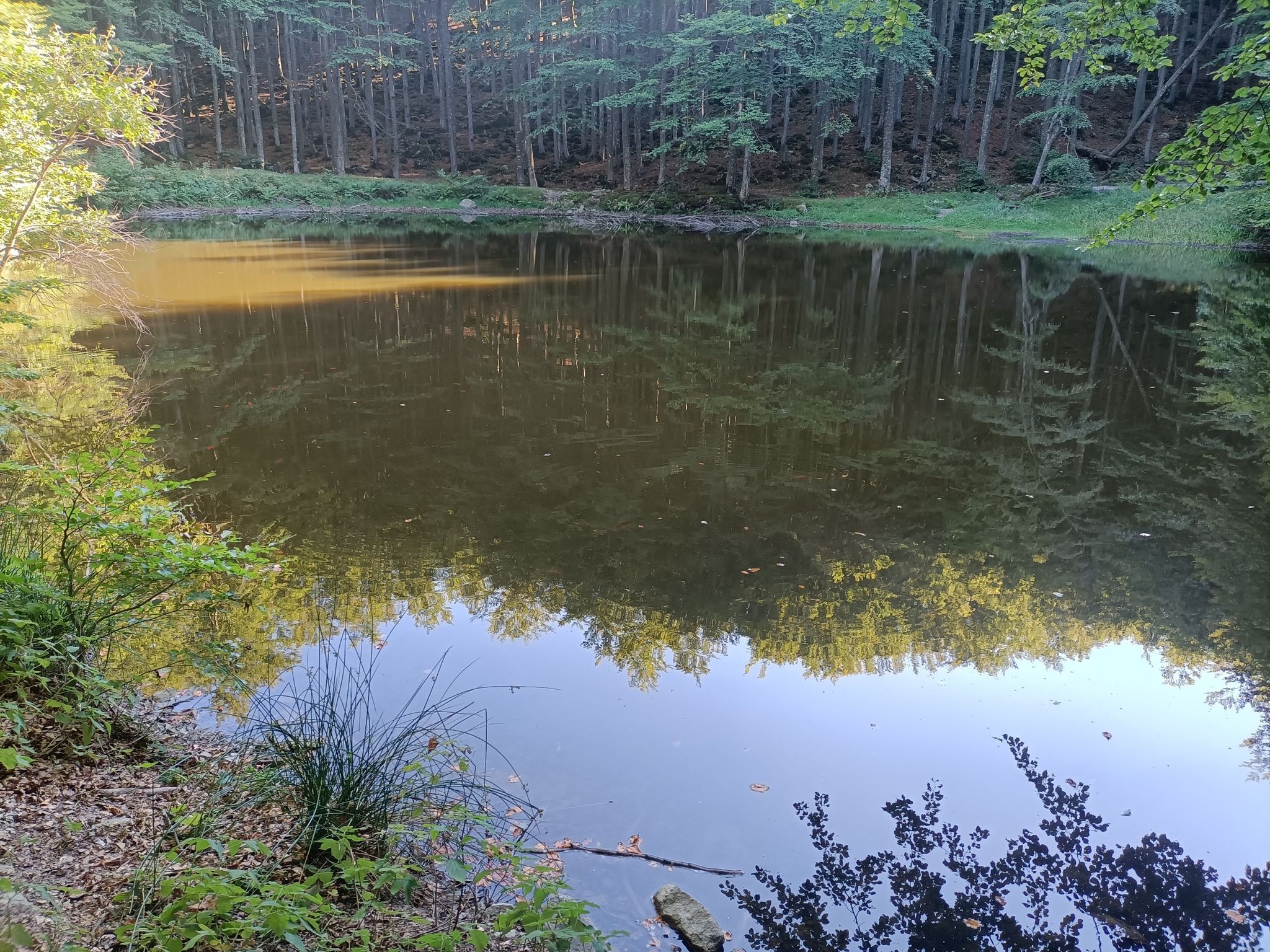 lago Martino
