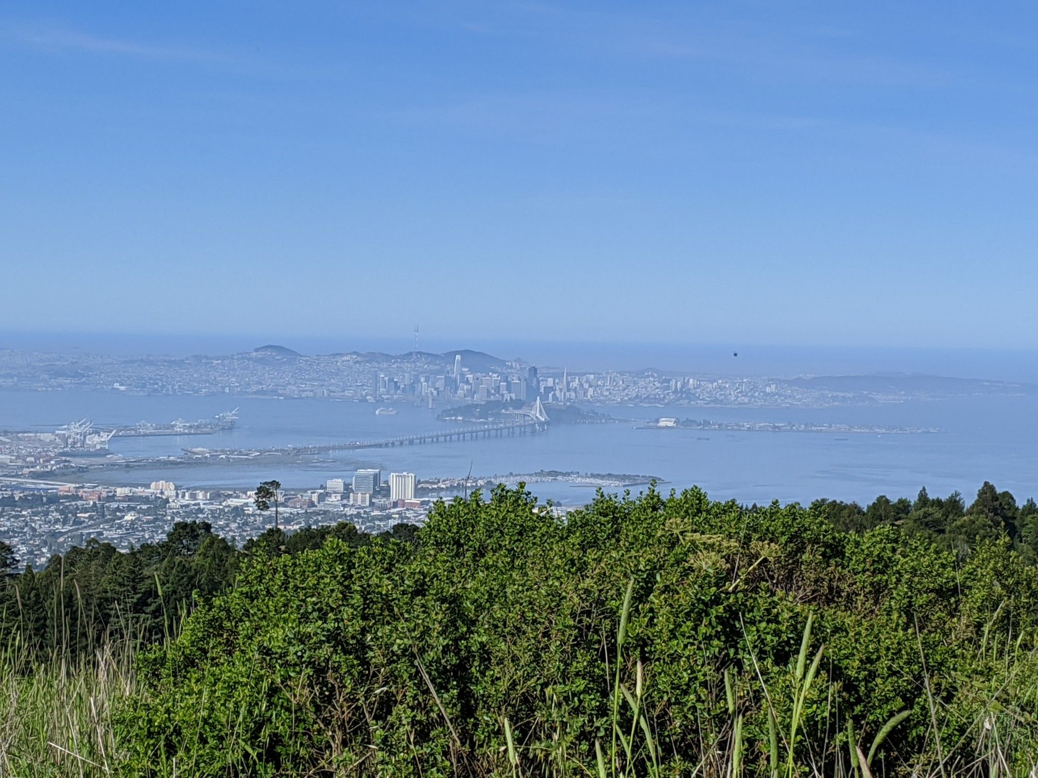 Panoramic view of a city, bay, and bridge under a clear sky. - Vollmer Peak and Seaview Trail Loop