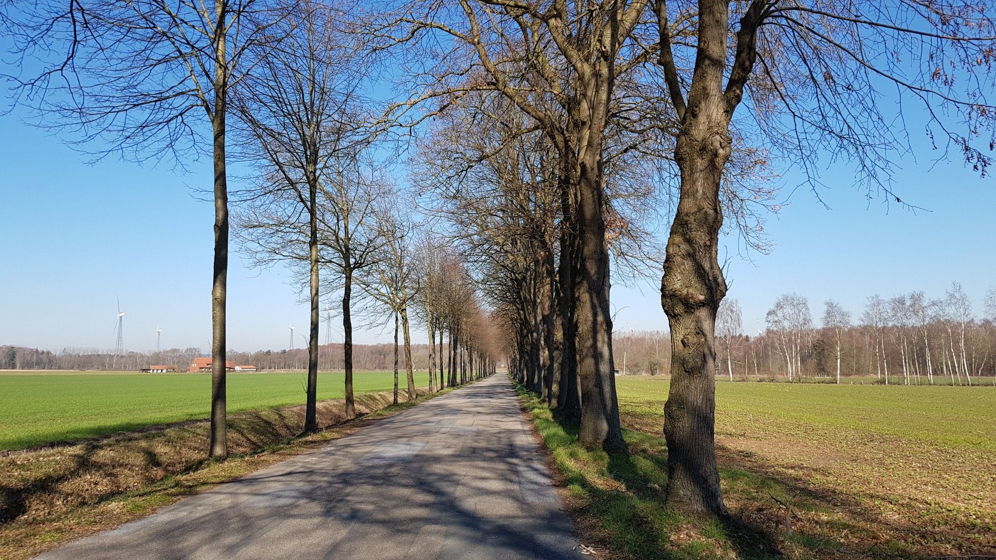 Nähe Hesepe