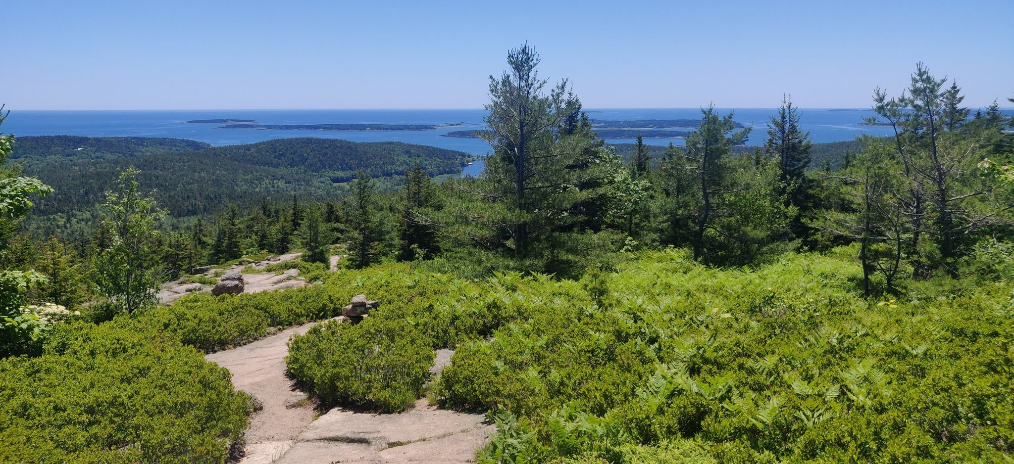 Bright sunny day, winding dirt path through green bushes with ocean in the distance. - Jordan Pond Six-Peak Loop