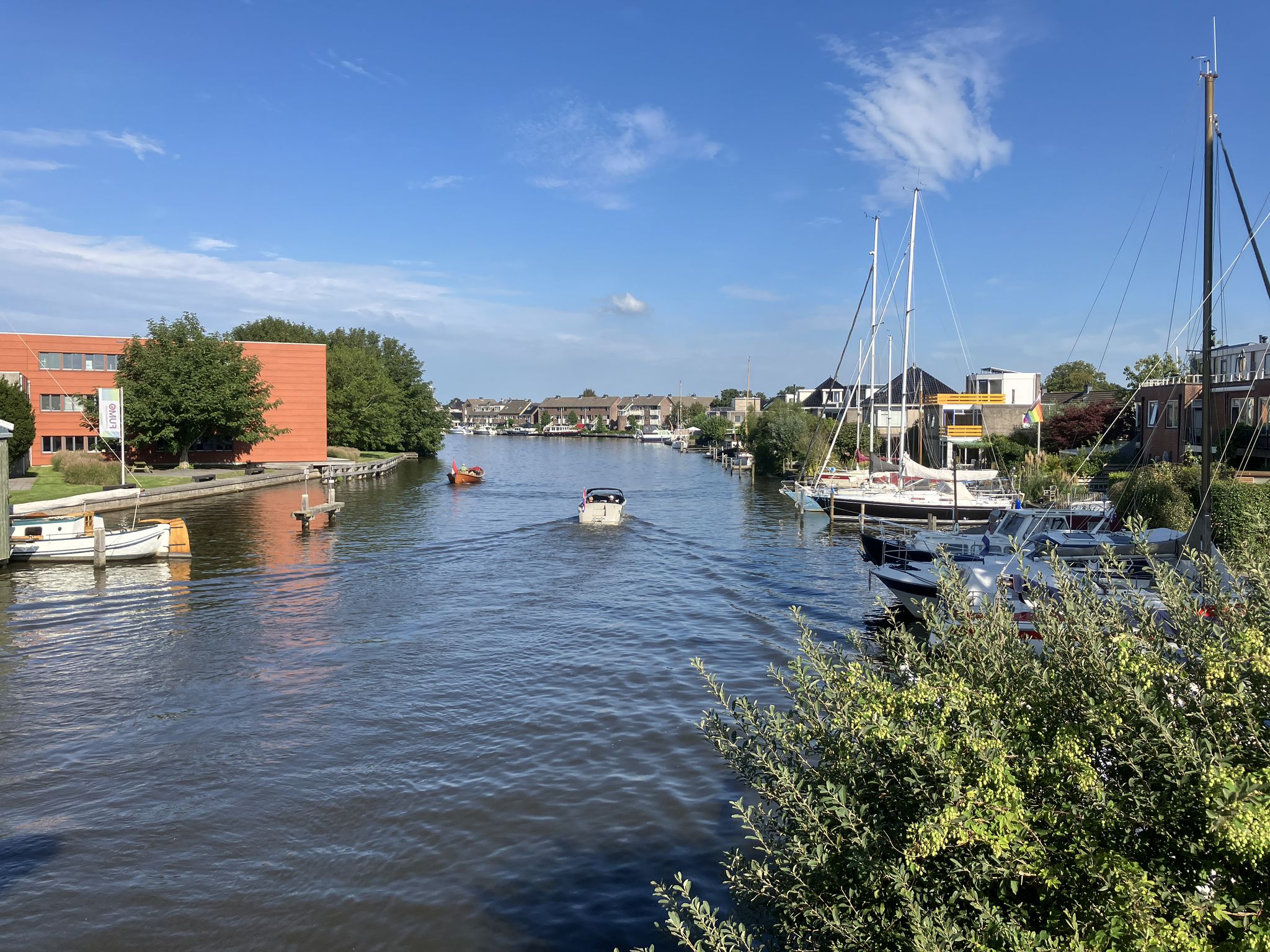 Grou