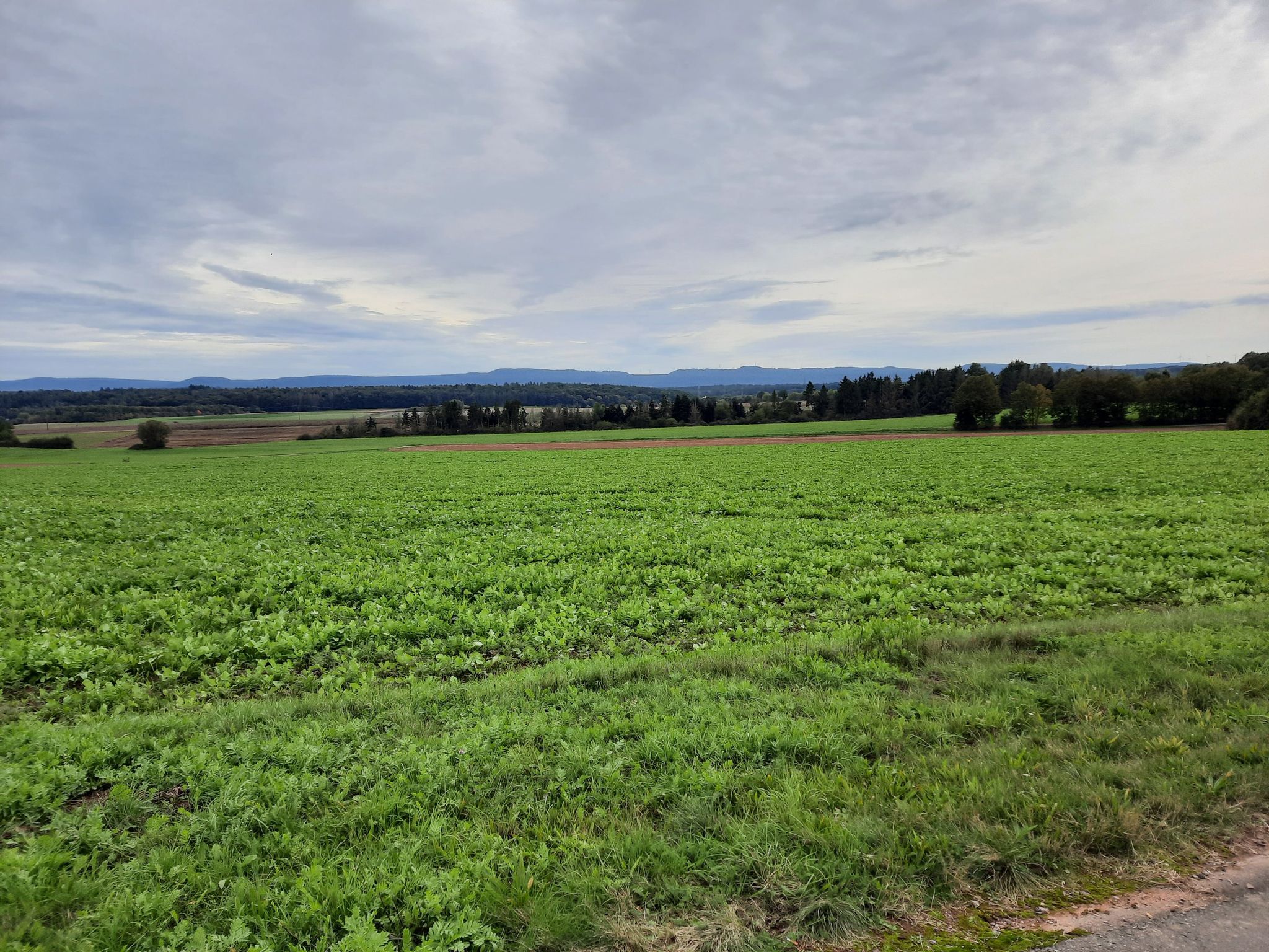 Panoramablick von der Sonnenbank