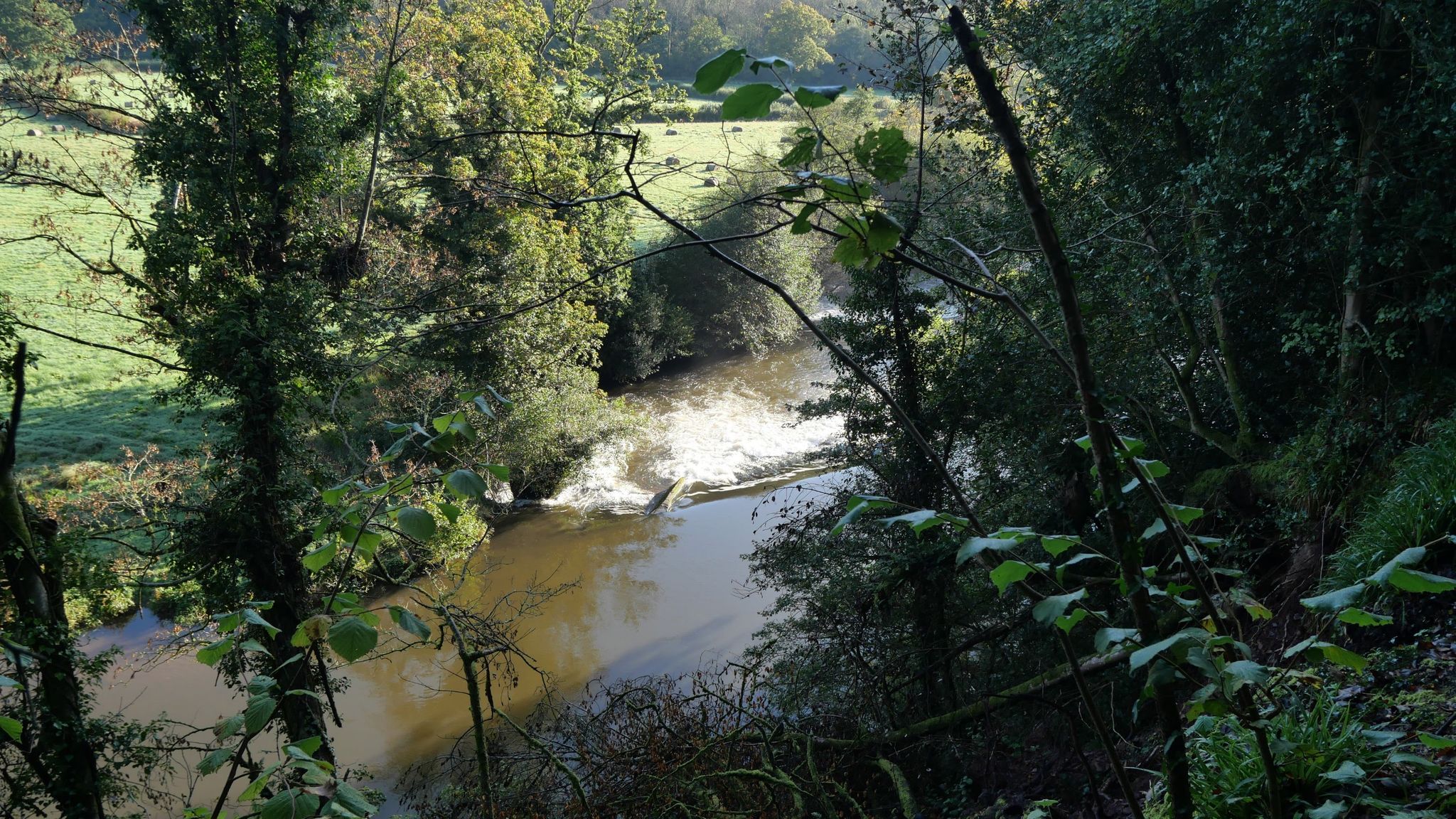 Washfield weir