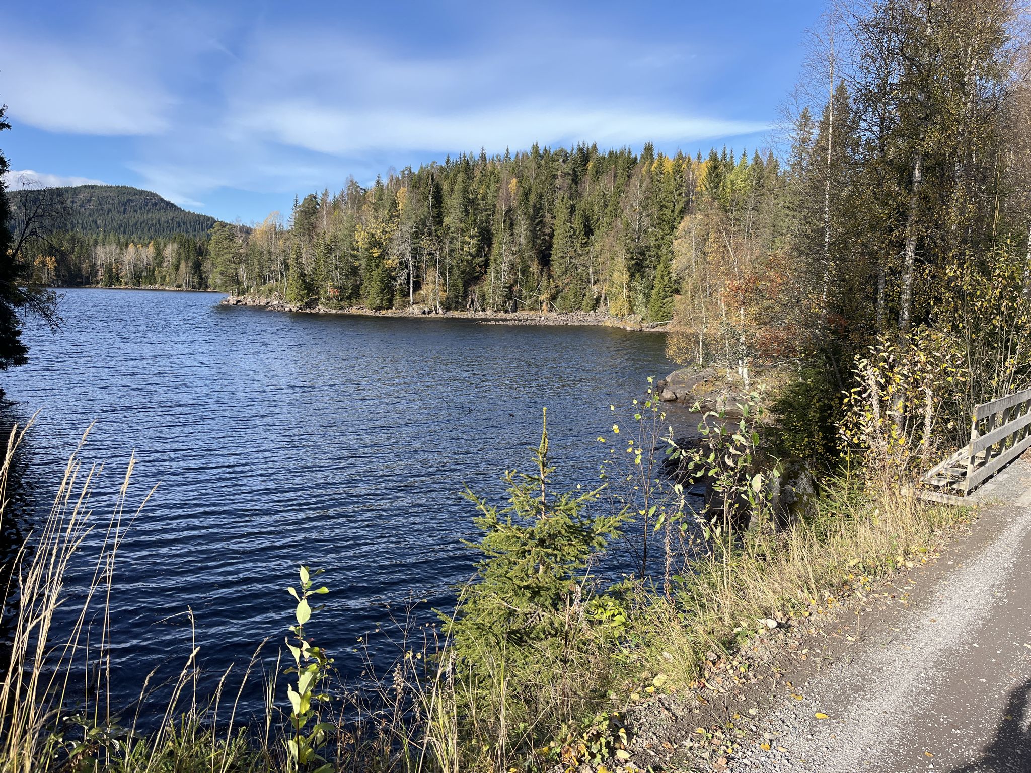 Bjørnsjøen