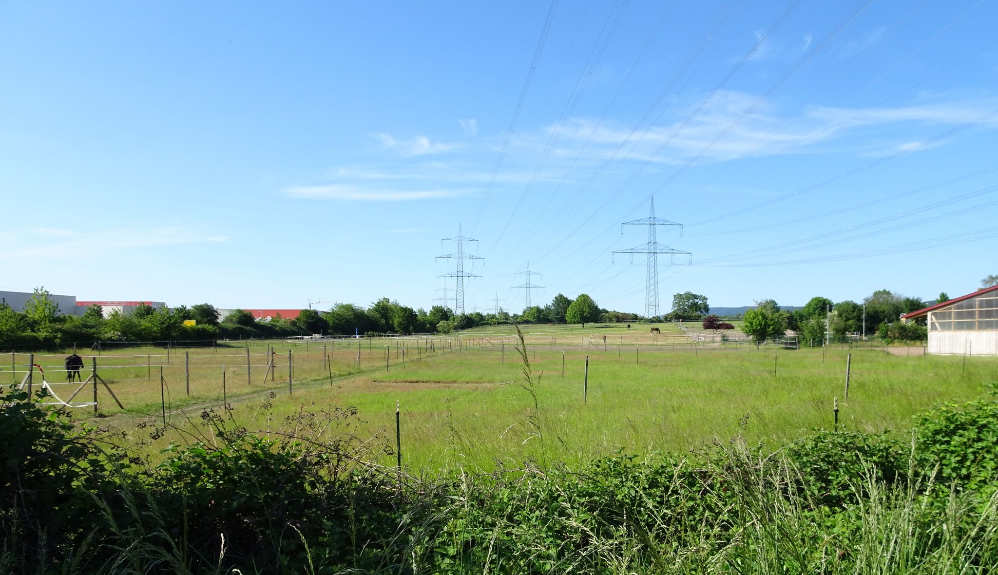 Pferdekoppeln am Ortsrand von Wiesloch